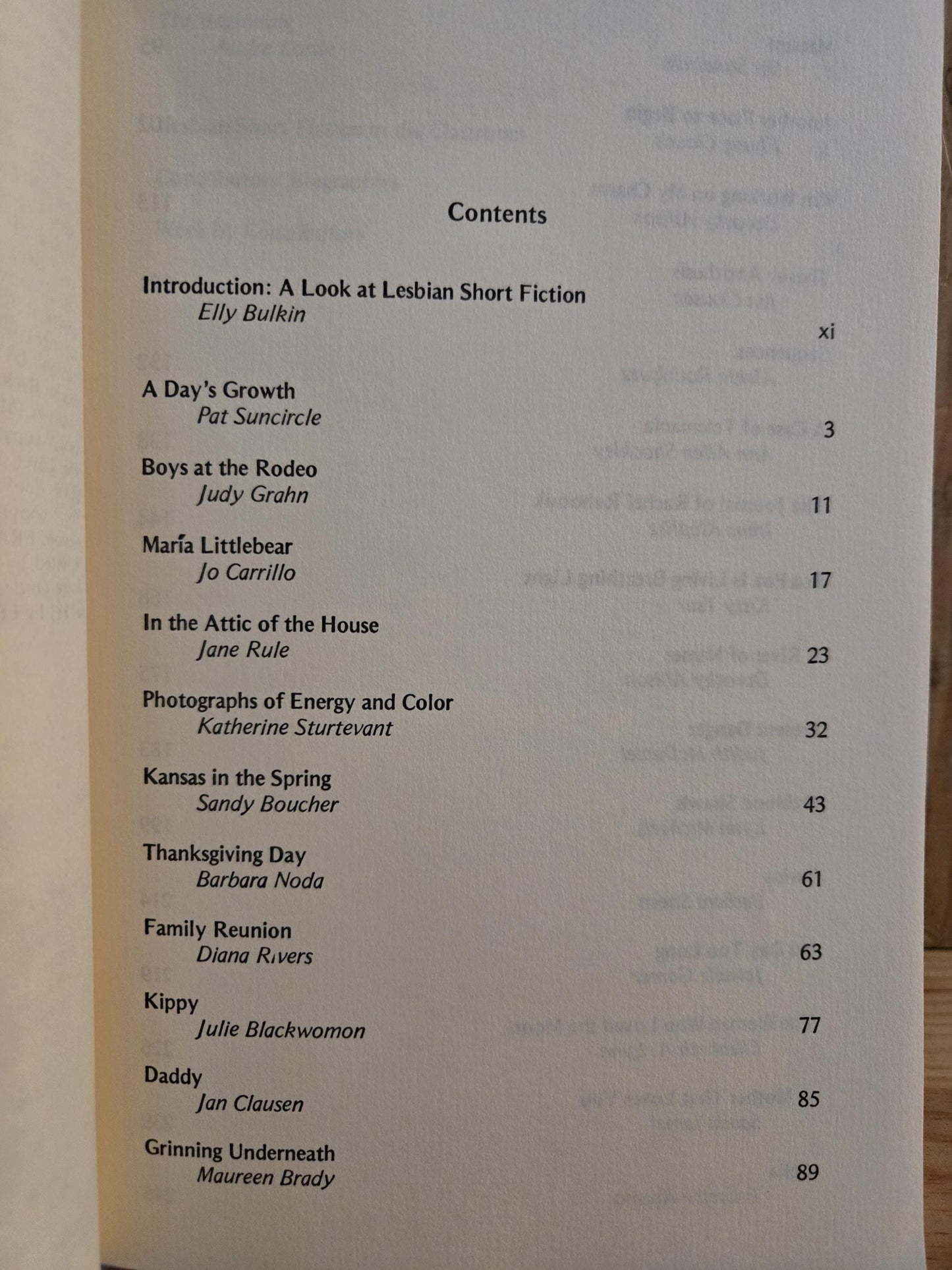Lesbian Fiction: An Anthology // Edited by Elly Bulkin // 1st Edition 1st Printing Paperback 1981 // Vintage Paperback