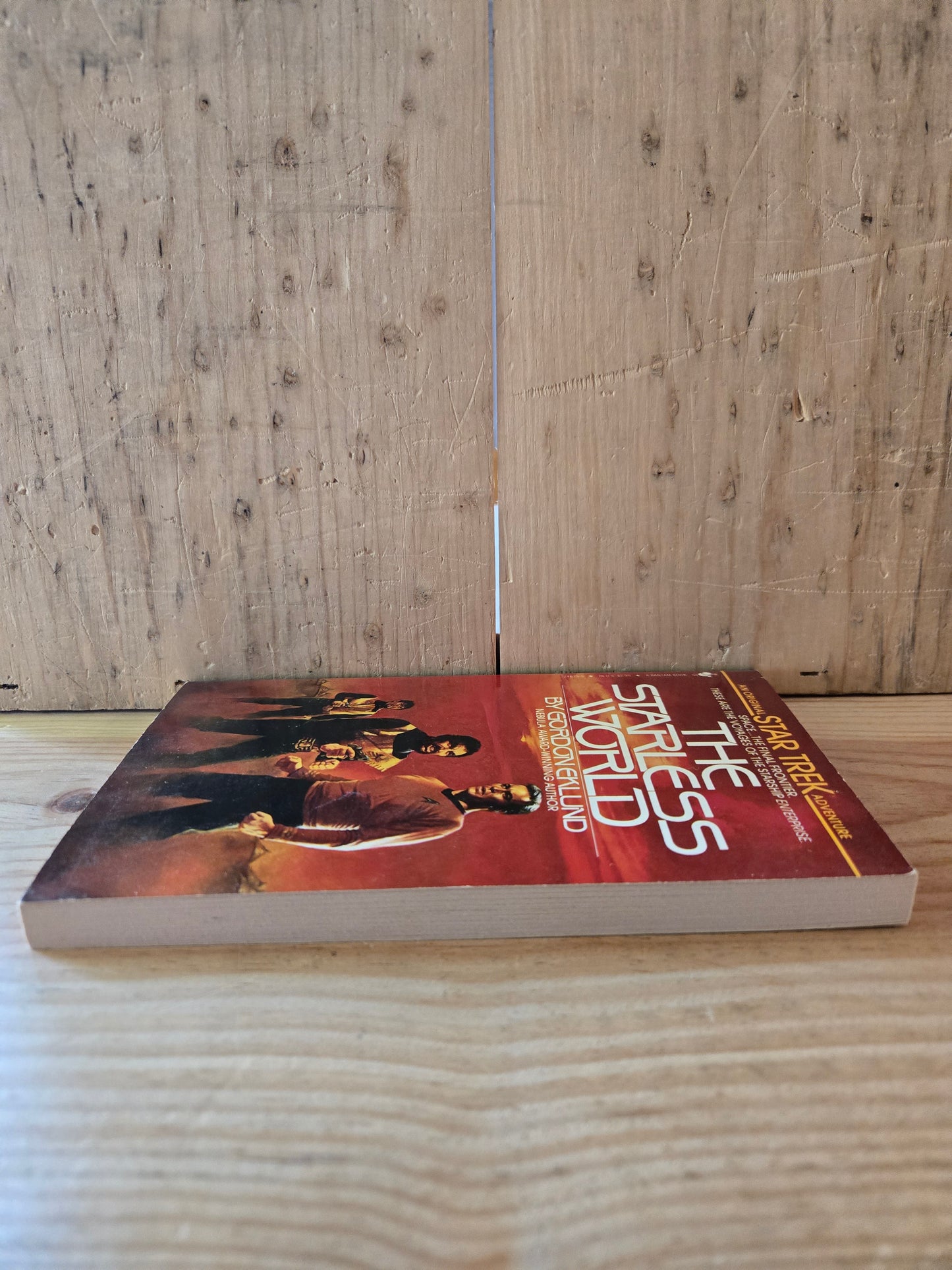 Star Trek: The Starless World // Gordon Eklund // 1984 // Vintage Paperback Sci-fi