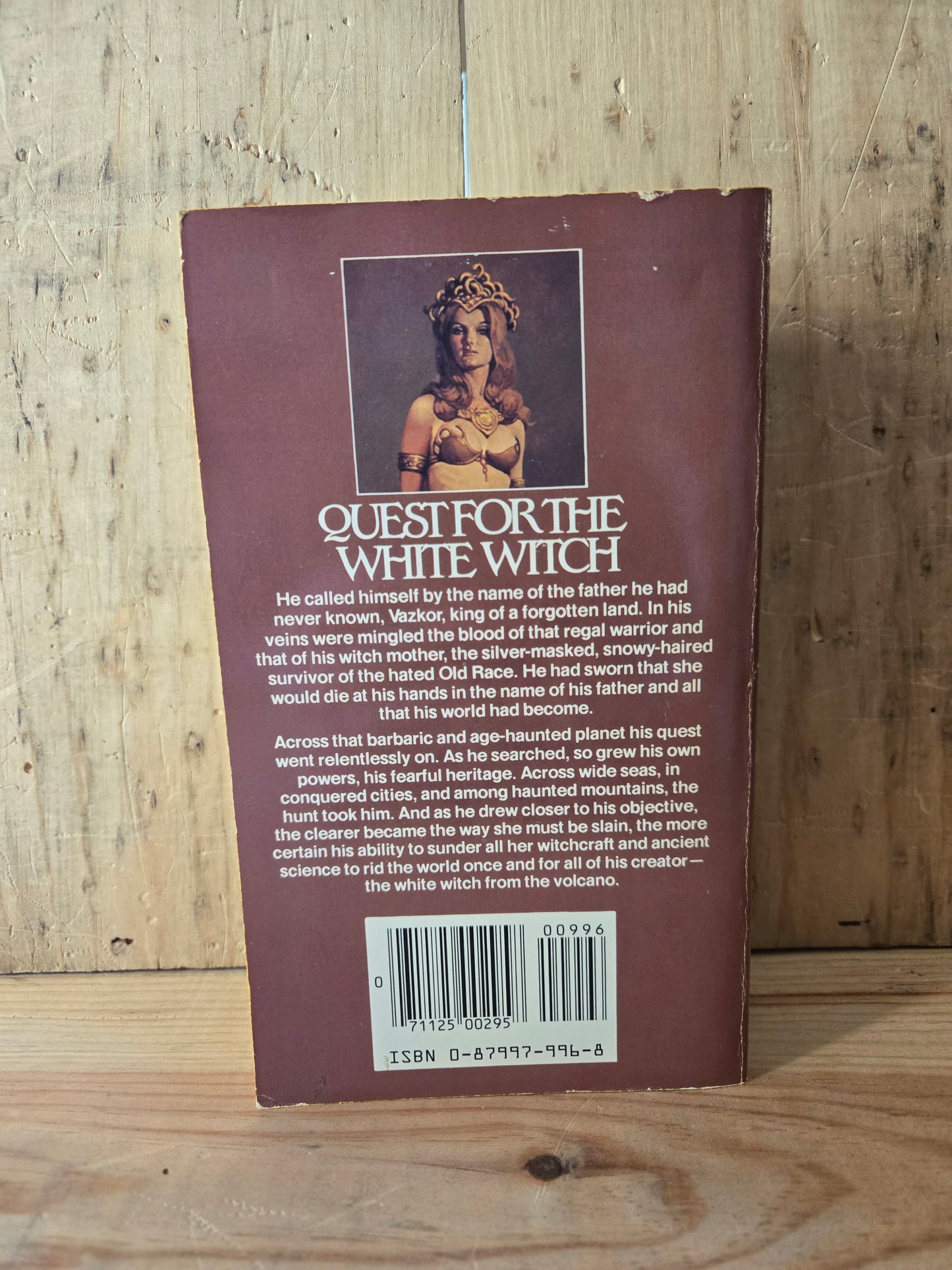 Quest for the White Witch // Tanith Lee // 1978 // Vintage Paperback Fantasy