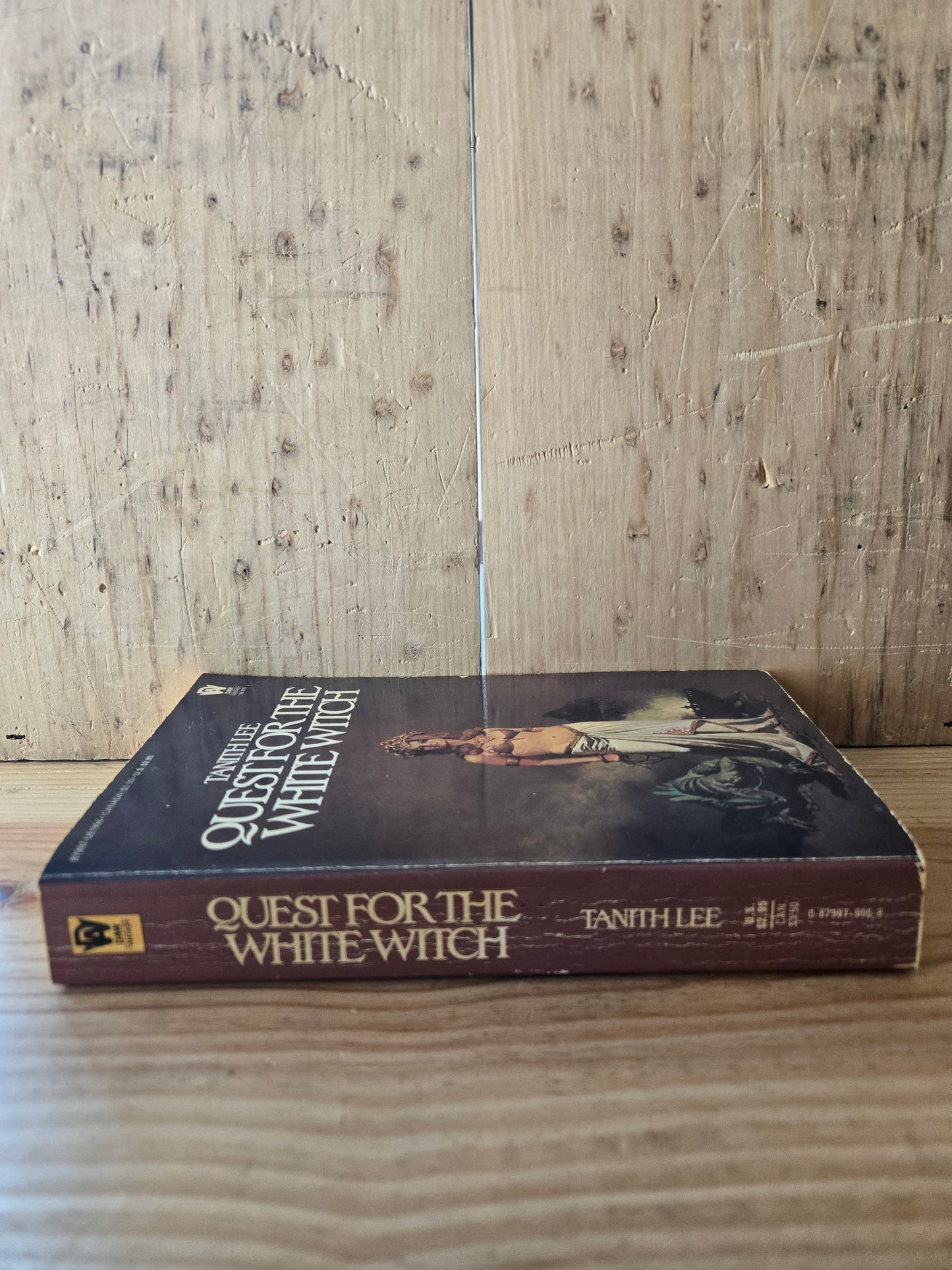 Quest for the White Witch // Tanith Lee // 1978 // Vintage Paperback Fantasy