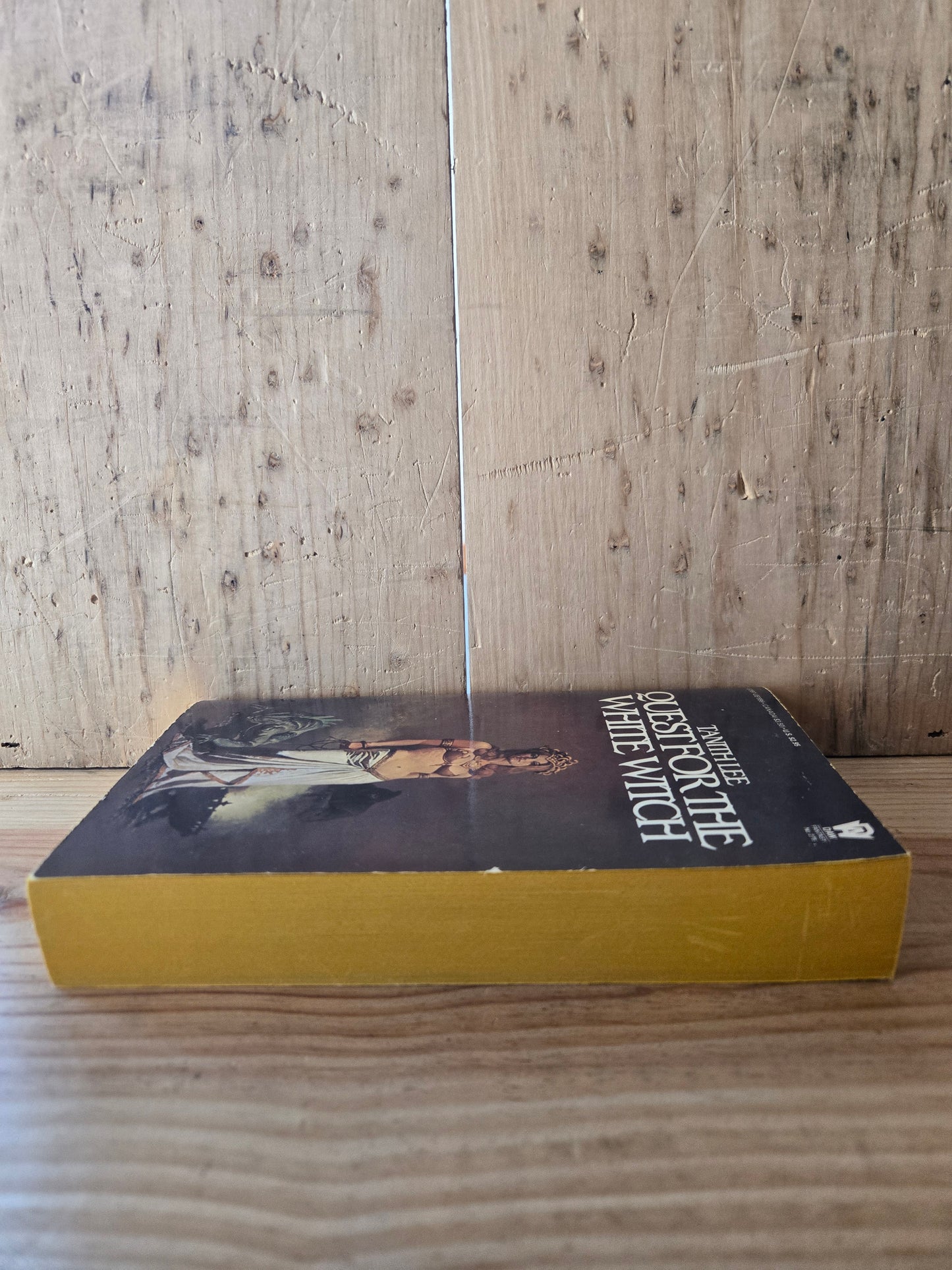 Quest for the White Witch // Tanith Lee // 1978 // Vintage Paperback Fantasy