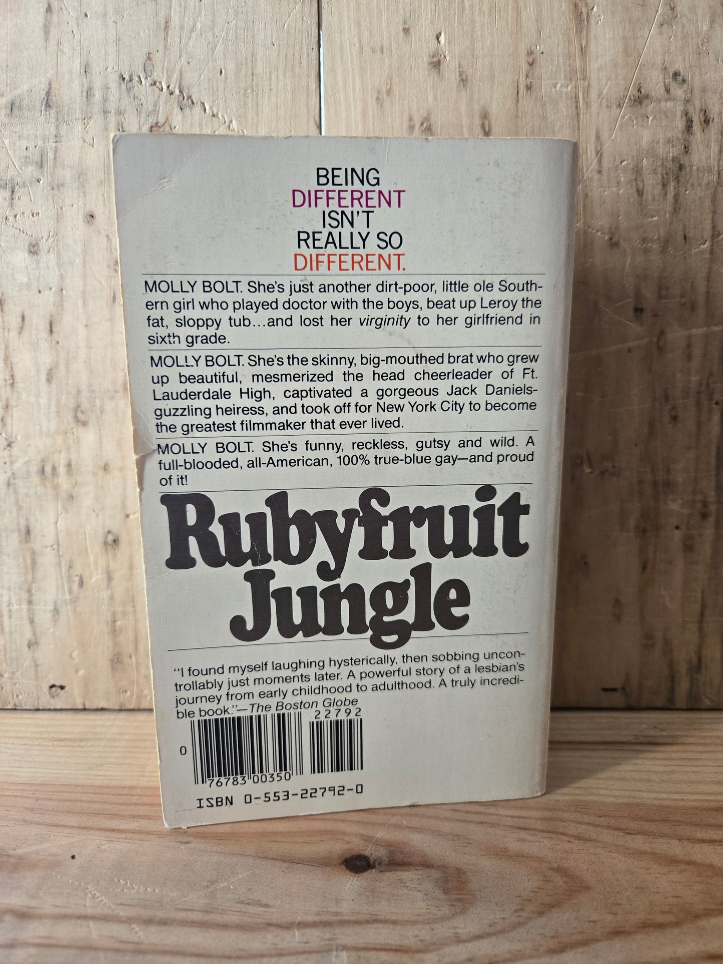 Rubyfruit Jungle // Rita Mae Brown // 1980 // Vintage Paperback