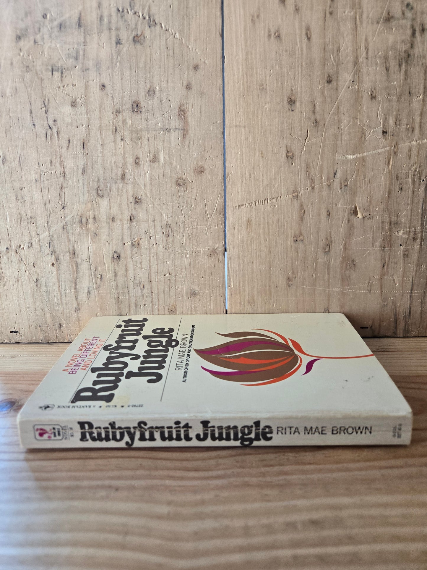 Rubyfruit Jungle // Rita Mae Brown // 1980 // Vintage Paperback
