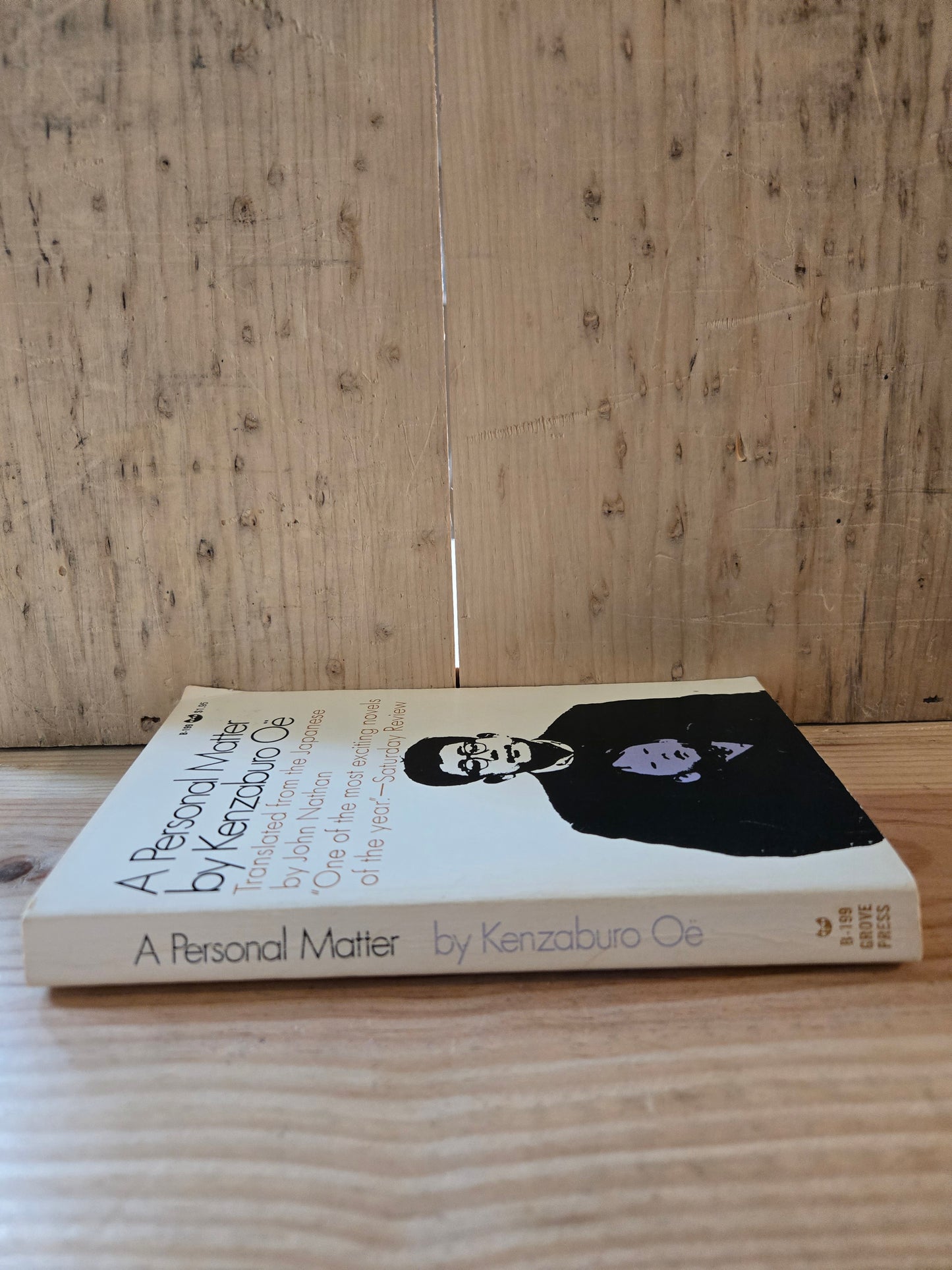 A Personal Matter // Kenzaburō Ōe // 1969 // Vintage Paperback