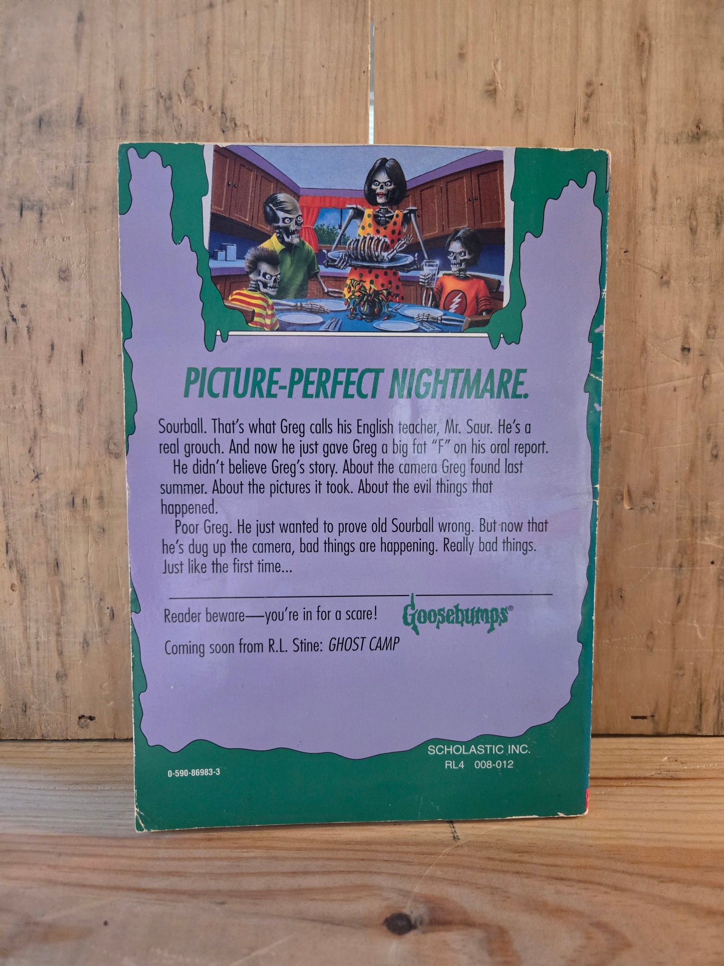 Goosebumps #44: Say Cheese and Die -- Again! // R.L. Stine // 1st Printing 1996 // Vintage Paperback