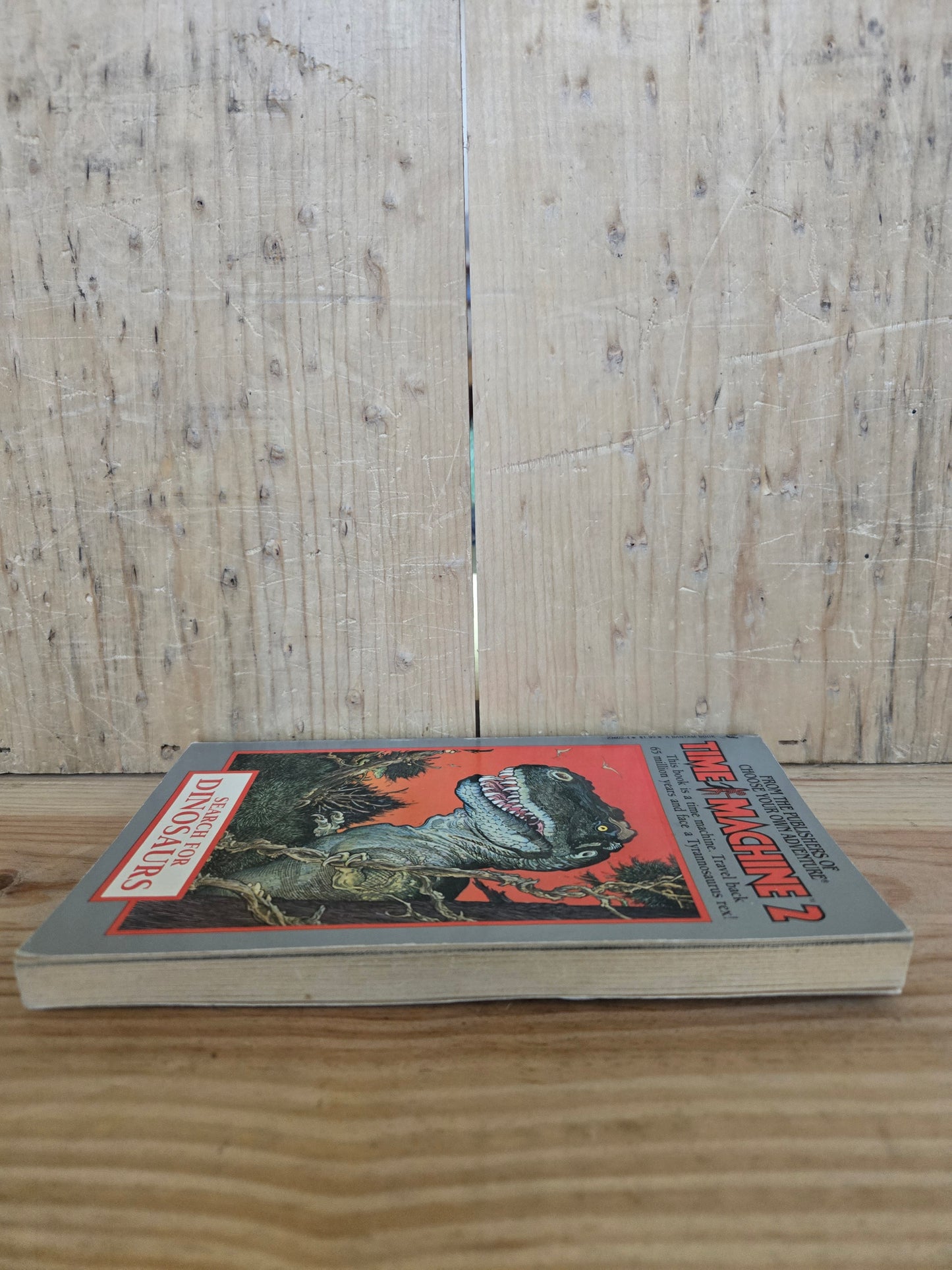 Time Machine 2: Search for Dinosaurs // Choose Your Own Adventure // 1984 // Vintage Paperback Sci-fi
