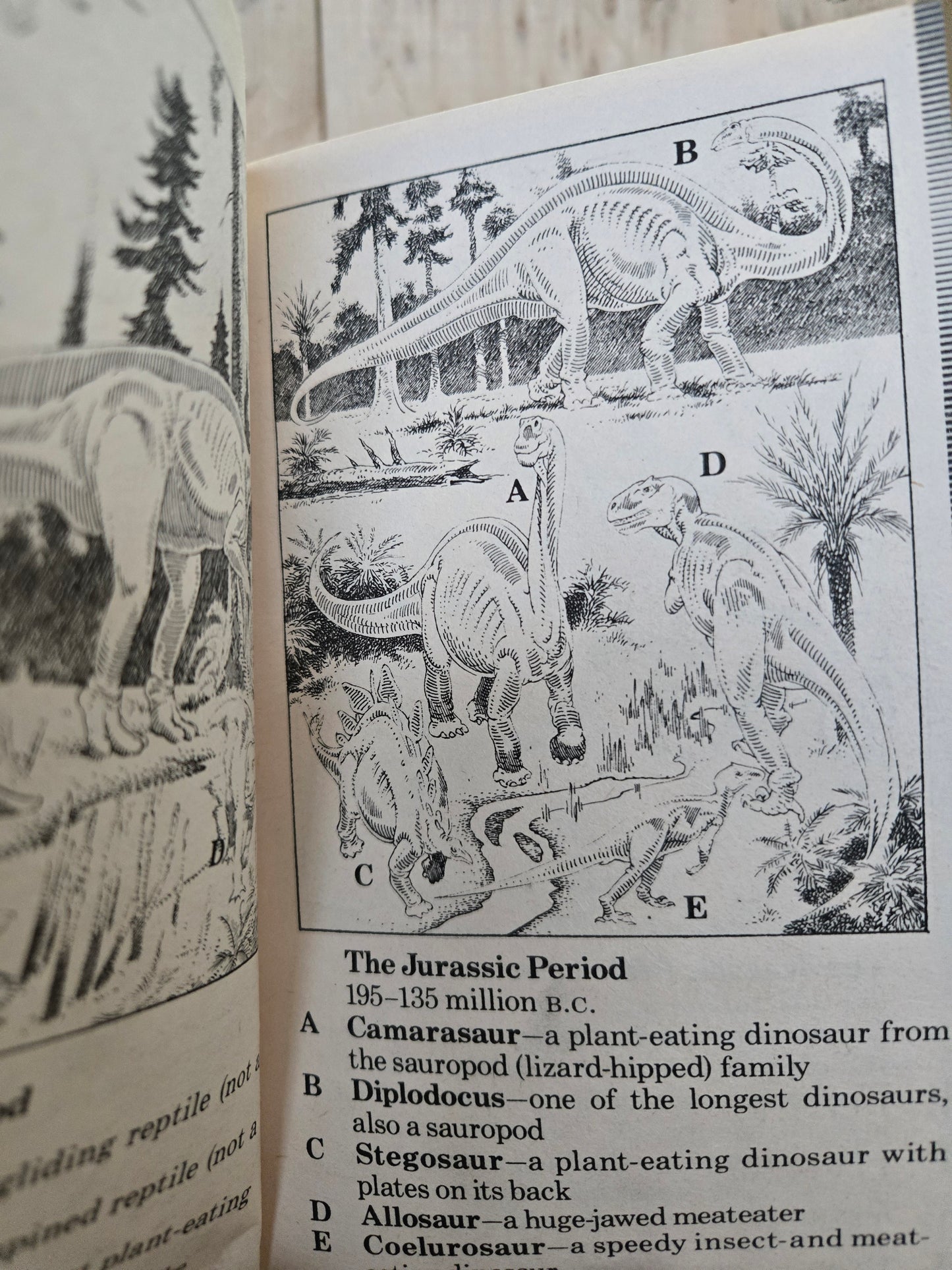 Time Machine 2: Search for Dinosaurs // Choose Your Own Adventure // 1984 // Vintage Paperback Sci-fi