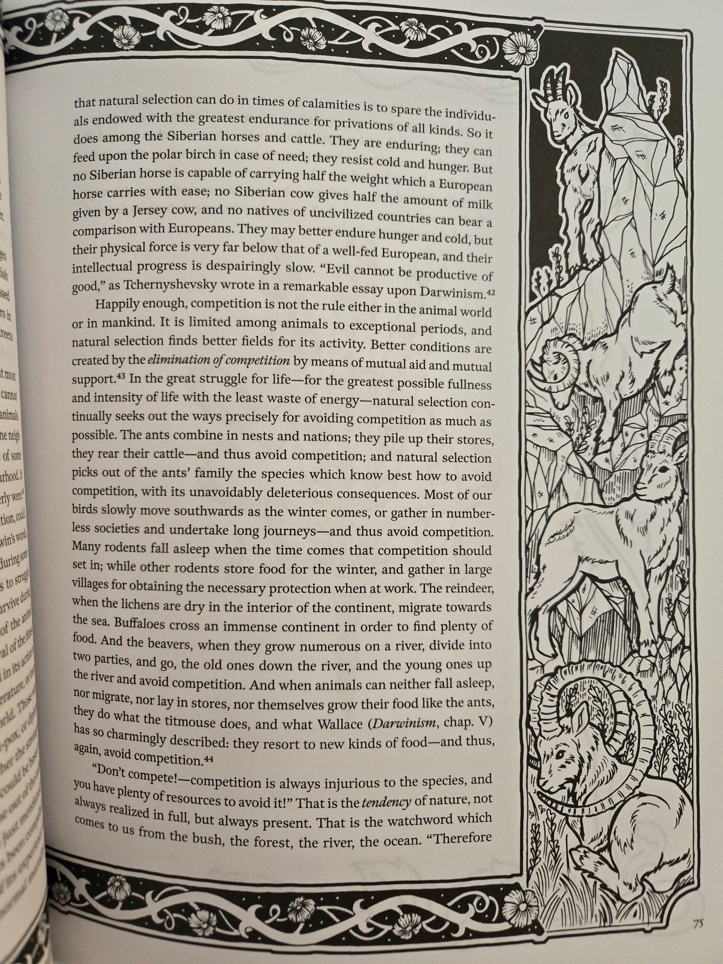 Mutual Aid: An Illuminated Factor of Evolution // Peter Kropotkin // 2021 // Paperback