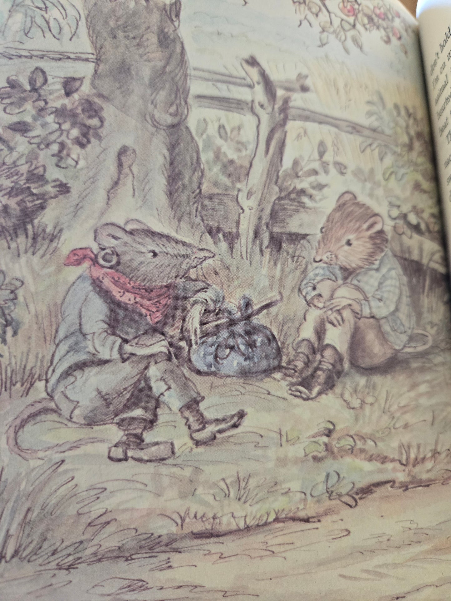 The Wind in the Willows // Kenneth Grahame // Book Club Edition 1966 // Vintage Hardcover