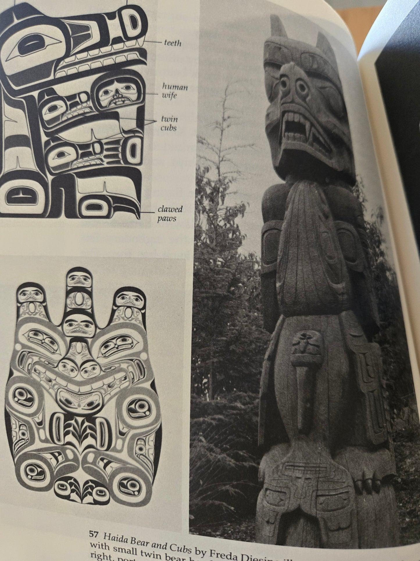 Looking at Indian Art of the Northwest Coast // Hilary Stewart // 1979 // Vintage Paperback