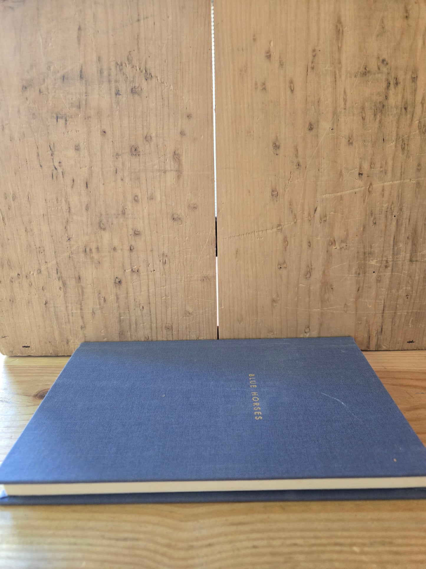 Blue Horses // Mary Oliver // 2014 // Hardcover Poetry