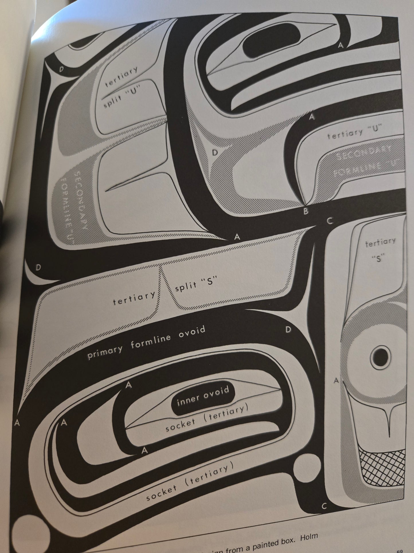 Northwest Coast Indian Art: An Analysis of Form // Bill Holm // 1970s // Vintage Paperback Indigenous Art