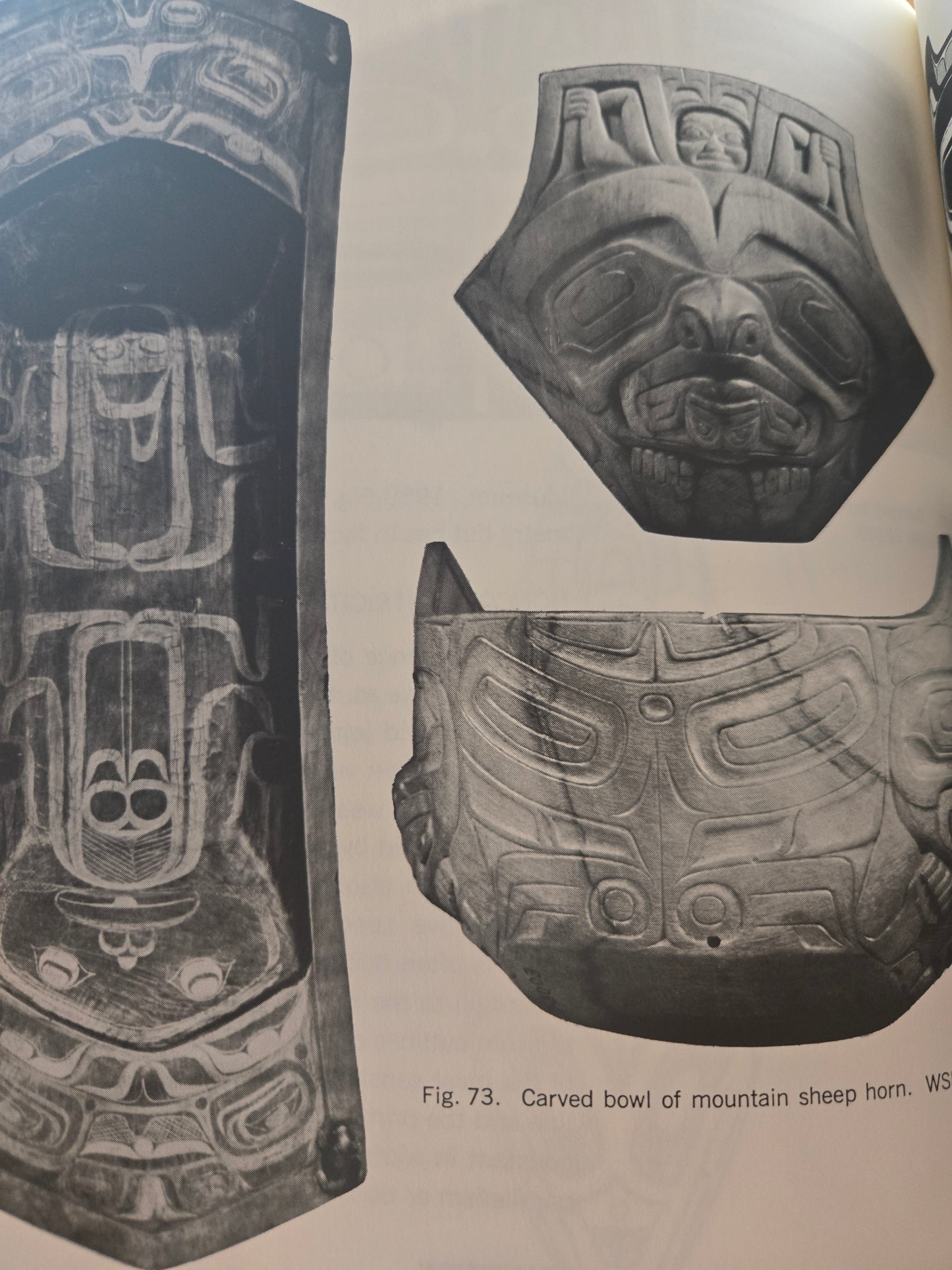 Northwest Coast Indian Art: An Analysis of Form // Bill Holm // 1970s // Vintage Paperback Indigenous Art