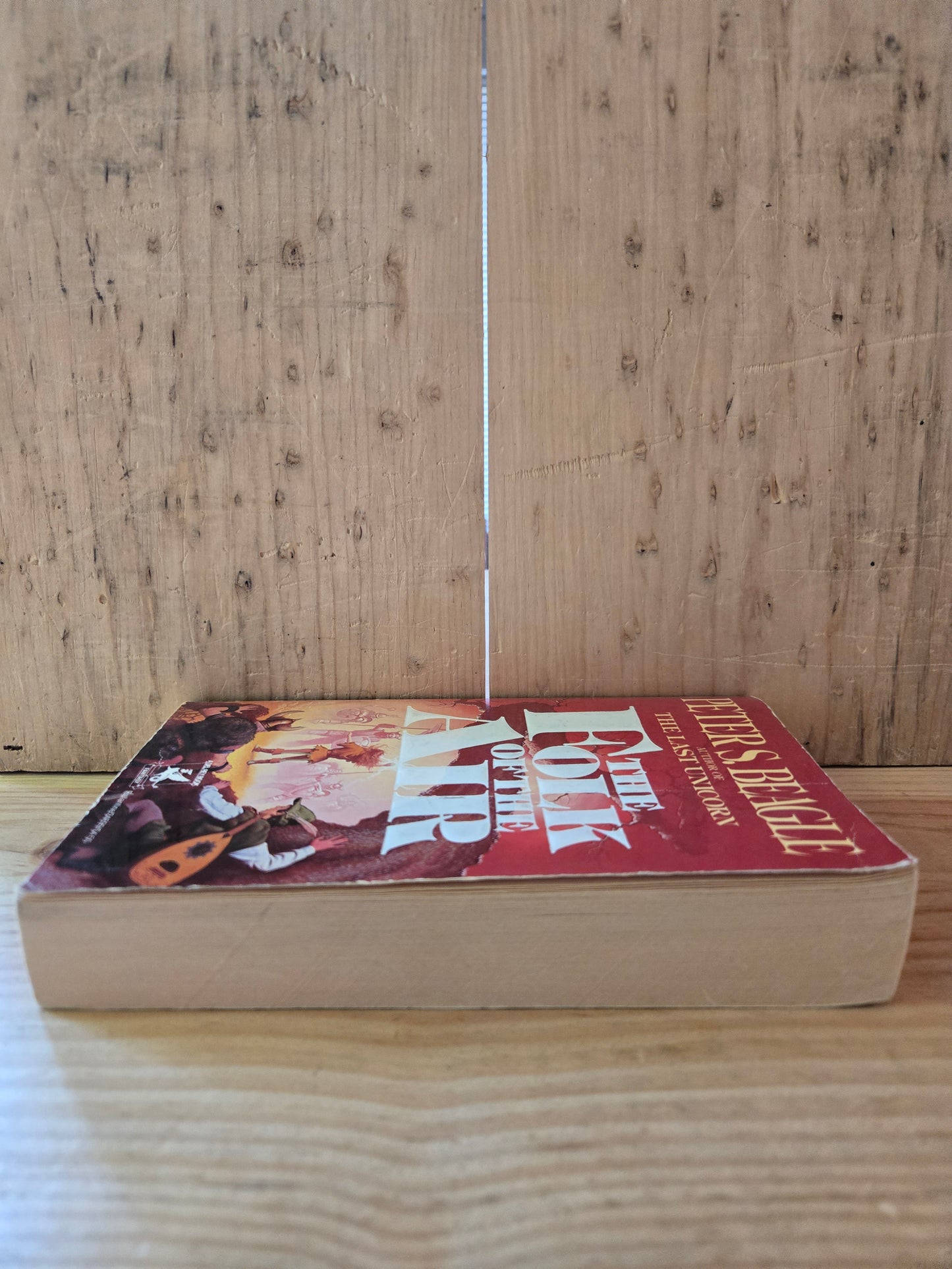 The Folk of the Air // Peter S. Beagle // 1988 // Vintage Paperback Fantasy