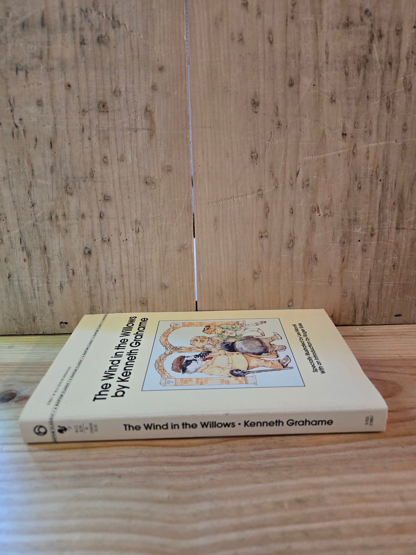 The Wind in the Willows // Kenneth Grahame // 1982 // Vintage Paperback