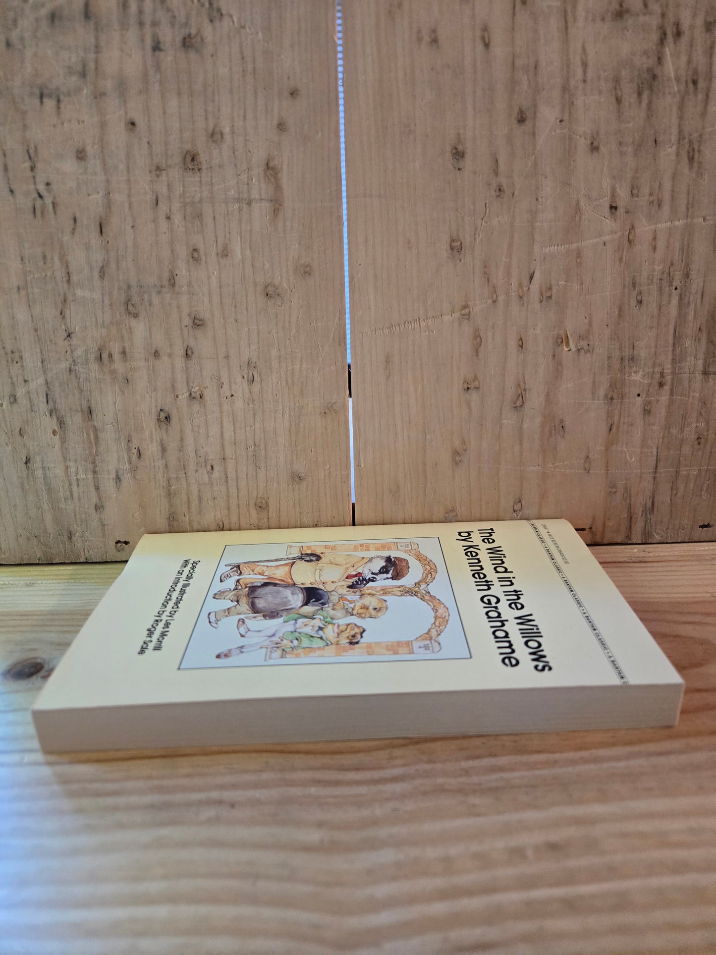 The Wind in the Willows // Kenneth Grahame // 1982 // Vintage Paperback