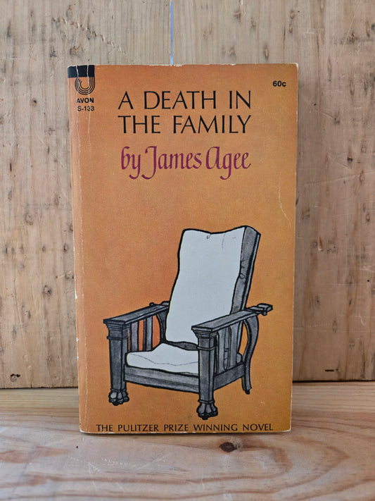 A Death in the Family // James Agee // 1964 // Vintage Paperback