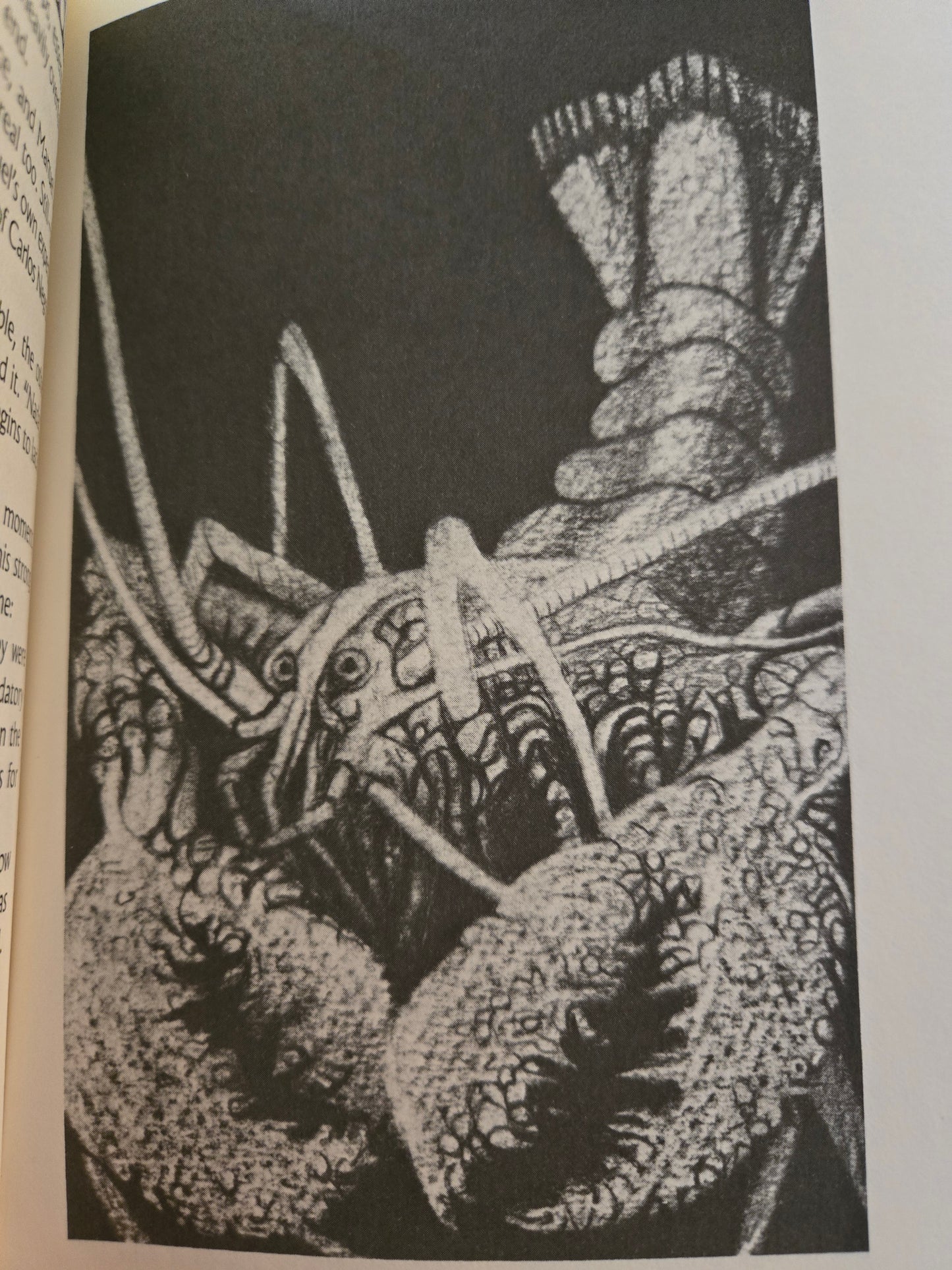 Tales of the Quintana Roo // James Tiptree Jr. // 1st Edition 1986 // Vintage Hardcover Fantasy