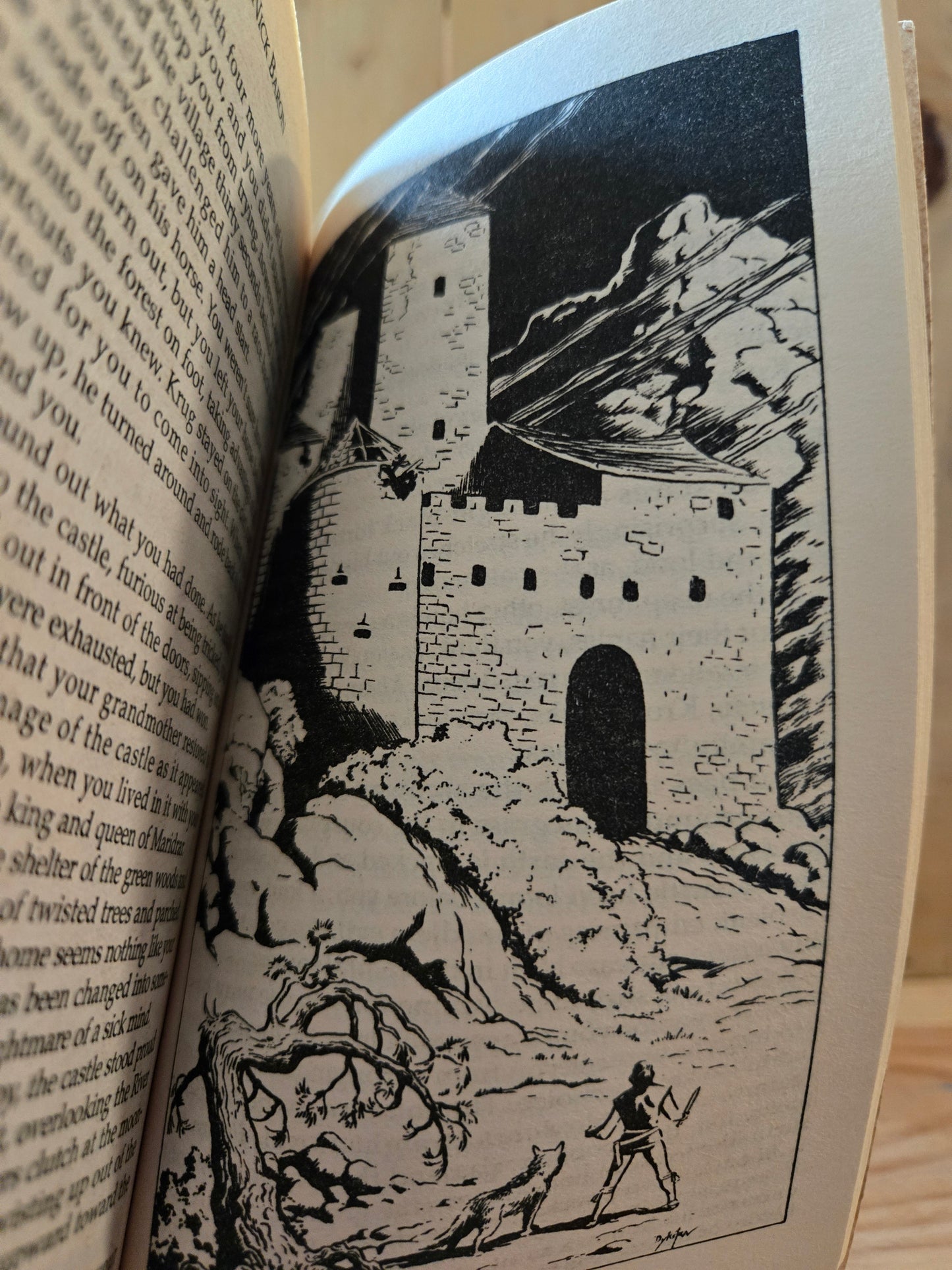 Ravenloft Endless Quest: Castle of the Undead // Nick Baron // 1st Printing 1994 // Vintage Paperback Fantasy Dungeons & Dragons