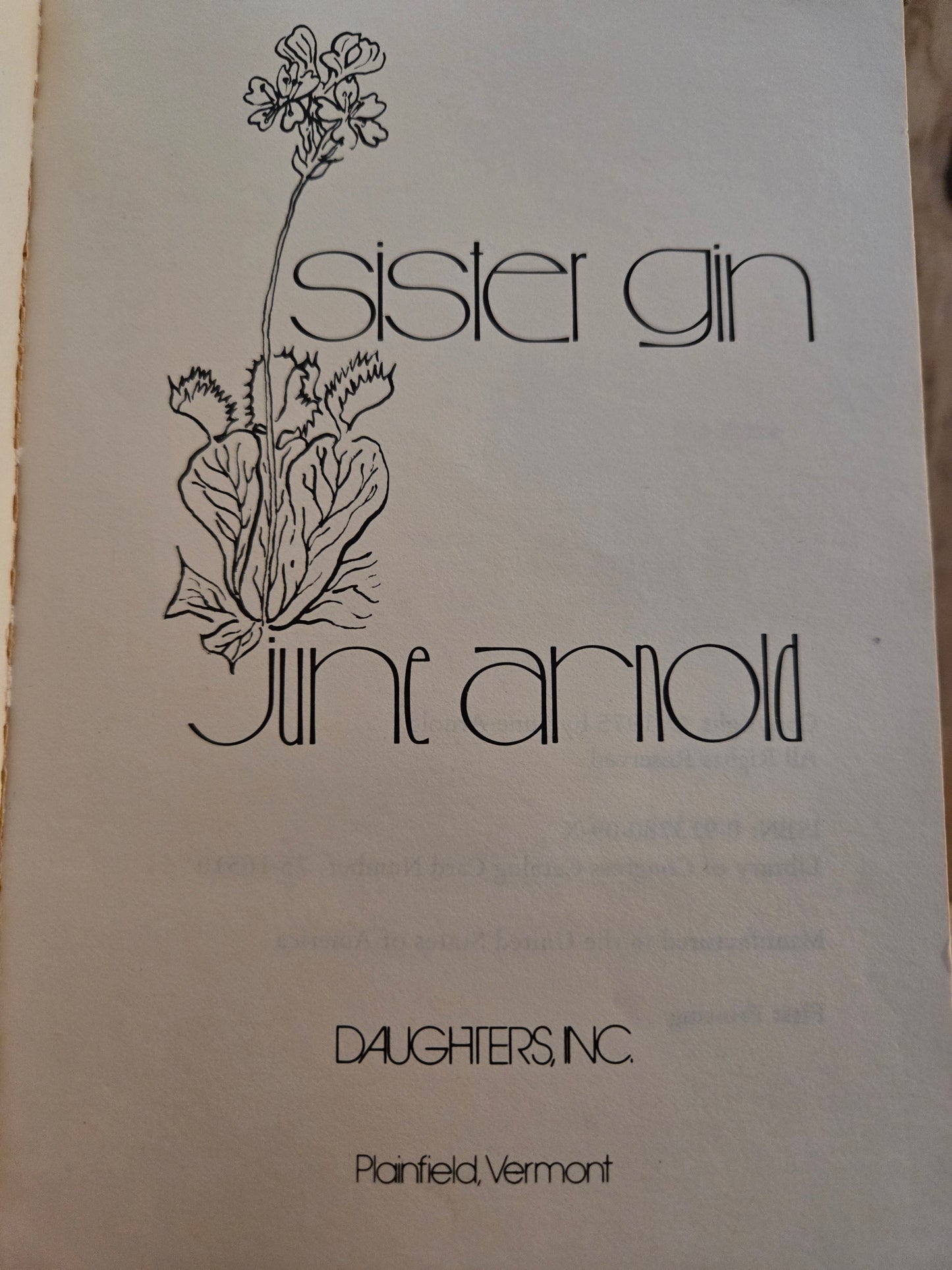Sister Gin // June Arnold // 1st Paperback Printing 1975 // Vintage Paperback