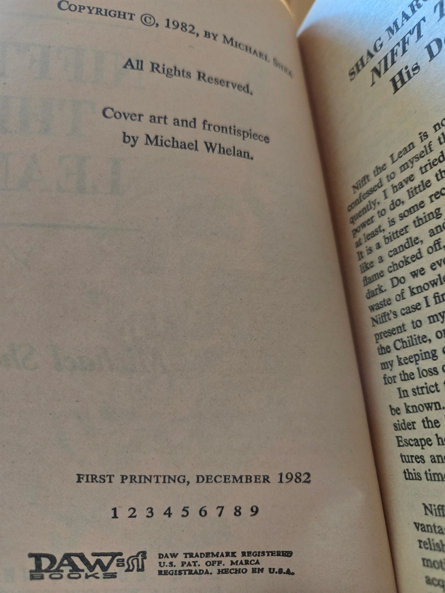 Nifft the Lean // Michael Shea // 1st DAW Printing 1982 // Vintage Paperback Fantasy Horror Cover Art by Michael Whelan