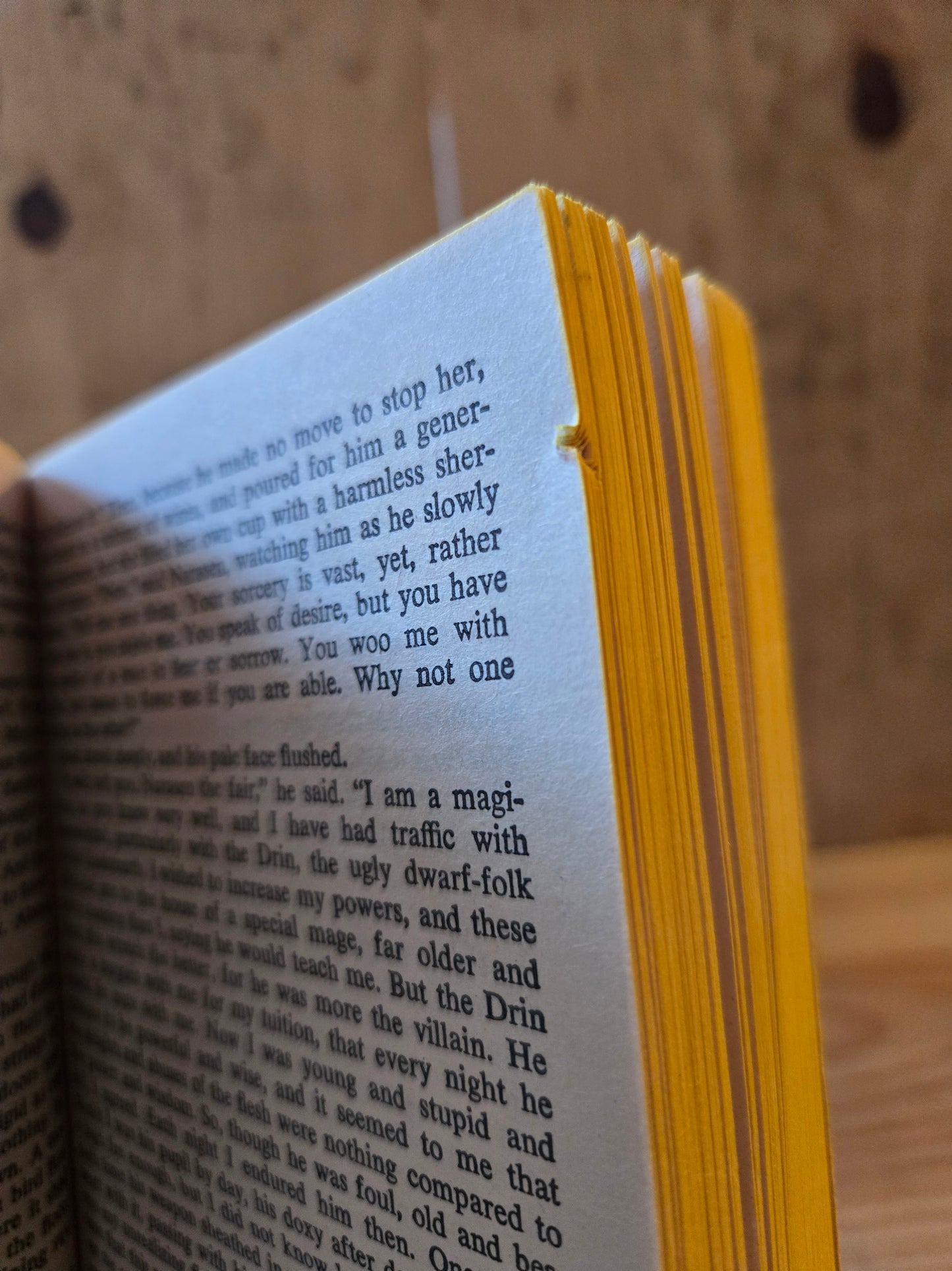 Death's Master // Tanith Lee // 3rd DAW Printing 1979 // Vintage Paperback Fantasy