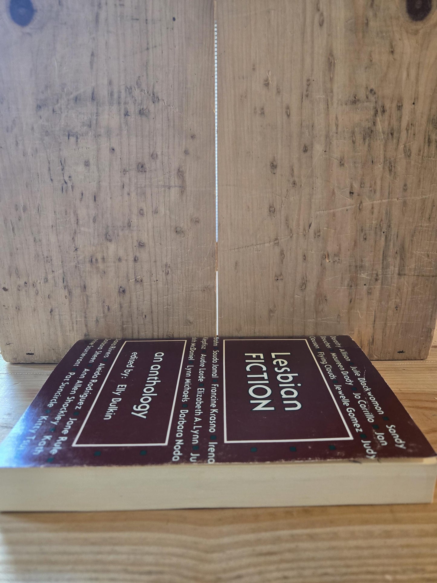 Lesbian Fiction: An Anthology // Edited by Elly Bulkin // 1st Edition 1st Printing Paperback 1981 // Vintage Paperback
