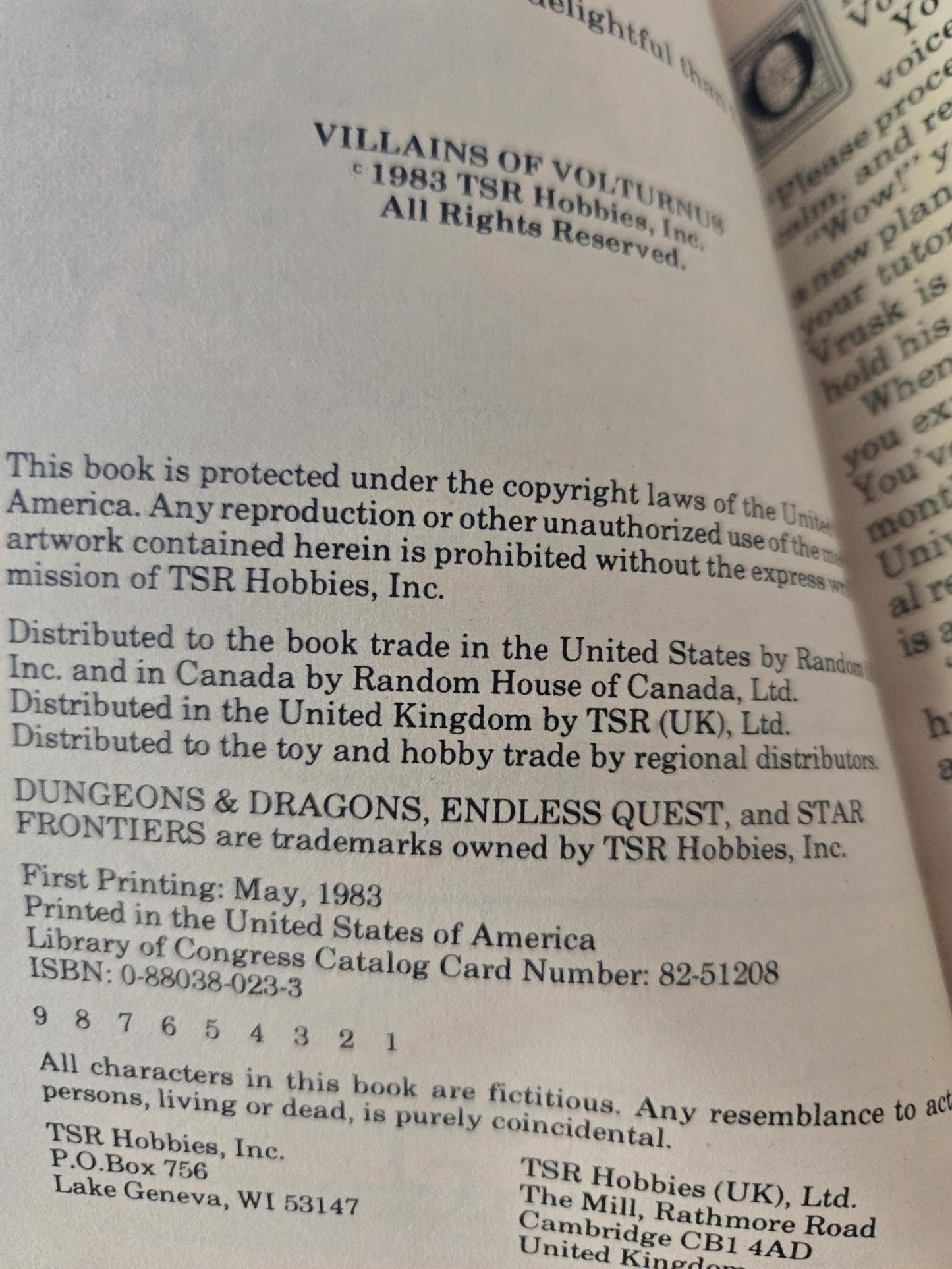 Dungeons & Dragons: An Endless Quest Book #8 Villains of Volturnus // Jean Blashfield // 1983 // Vintage Paperback Fantasy CYOA