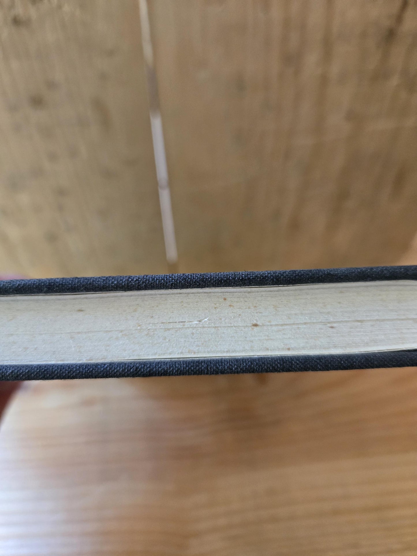 In Search of Common Ground: Conversations with Erik H. Erikson & Huey P. Newton // 1st Edition 1st Printing 1973 // Vintage Hardcover