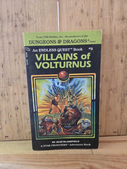 Dungeons & Dragons: An Endless Quest Book #8 Villains of Volturnus // Jean Blashfield // 1983 // Vintage Paperback Fantasy CYOA