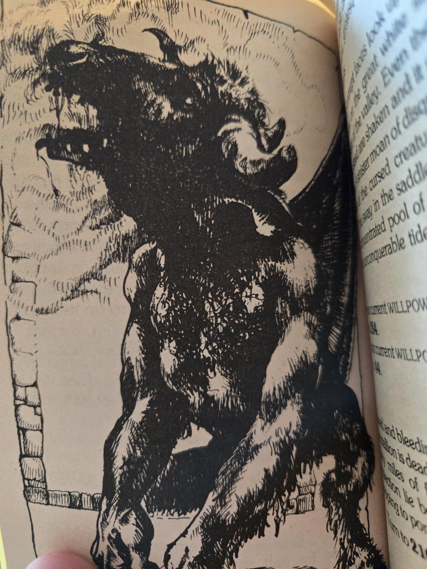 The World of Lone Wolf: Book #4 War of the Wizards // Ian Page and Joe Dever // 1987 // Vintage Paperback Fantasy CYOA