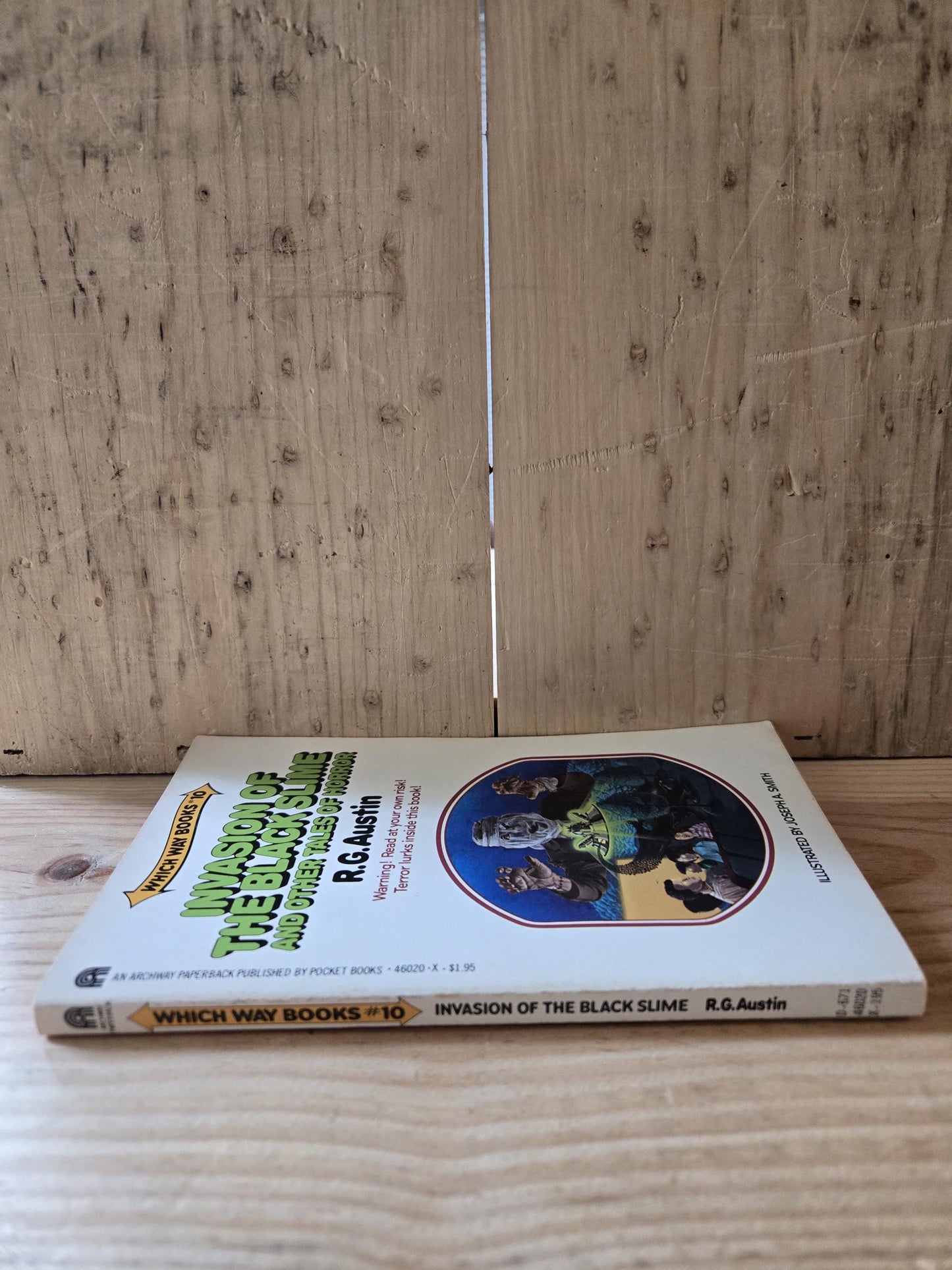 Which Way Books #10: Invasion of The Black Slime and Other Tales of Horror // R.G. Austin // 1983 // Vintage Paperback