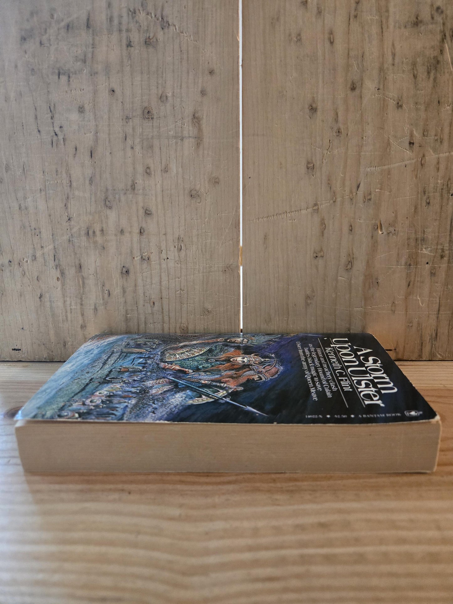 A Storm Upon Ulster // Kenneth C. Flint // 1981 // Vintage Paperback Fantasy