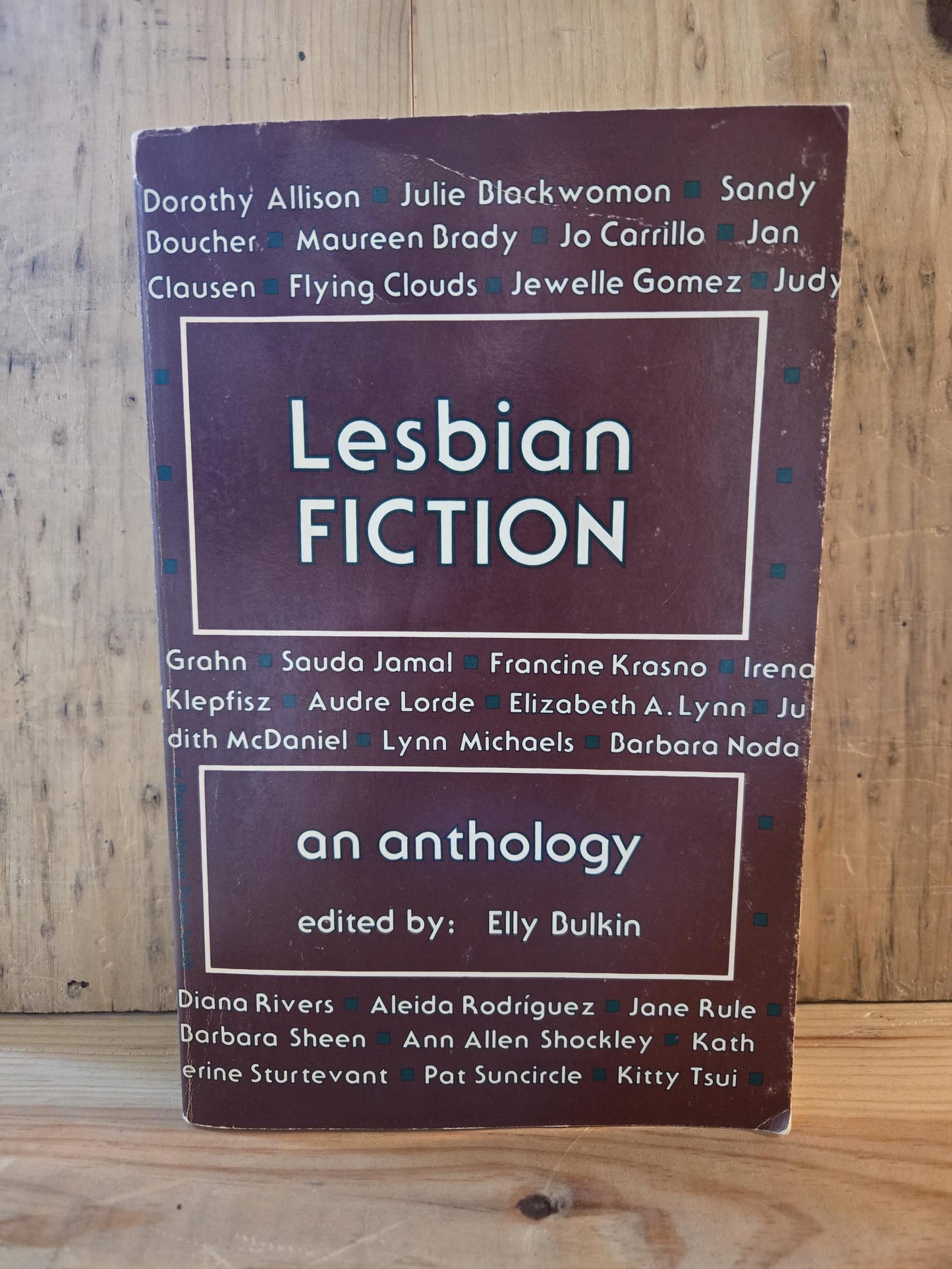 Lesbian Fiction: An Anthology // Edited by Elly Bulkin // 1st Edition 1st Printing Paperback 1981 // Vintage Paperback