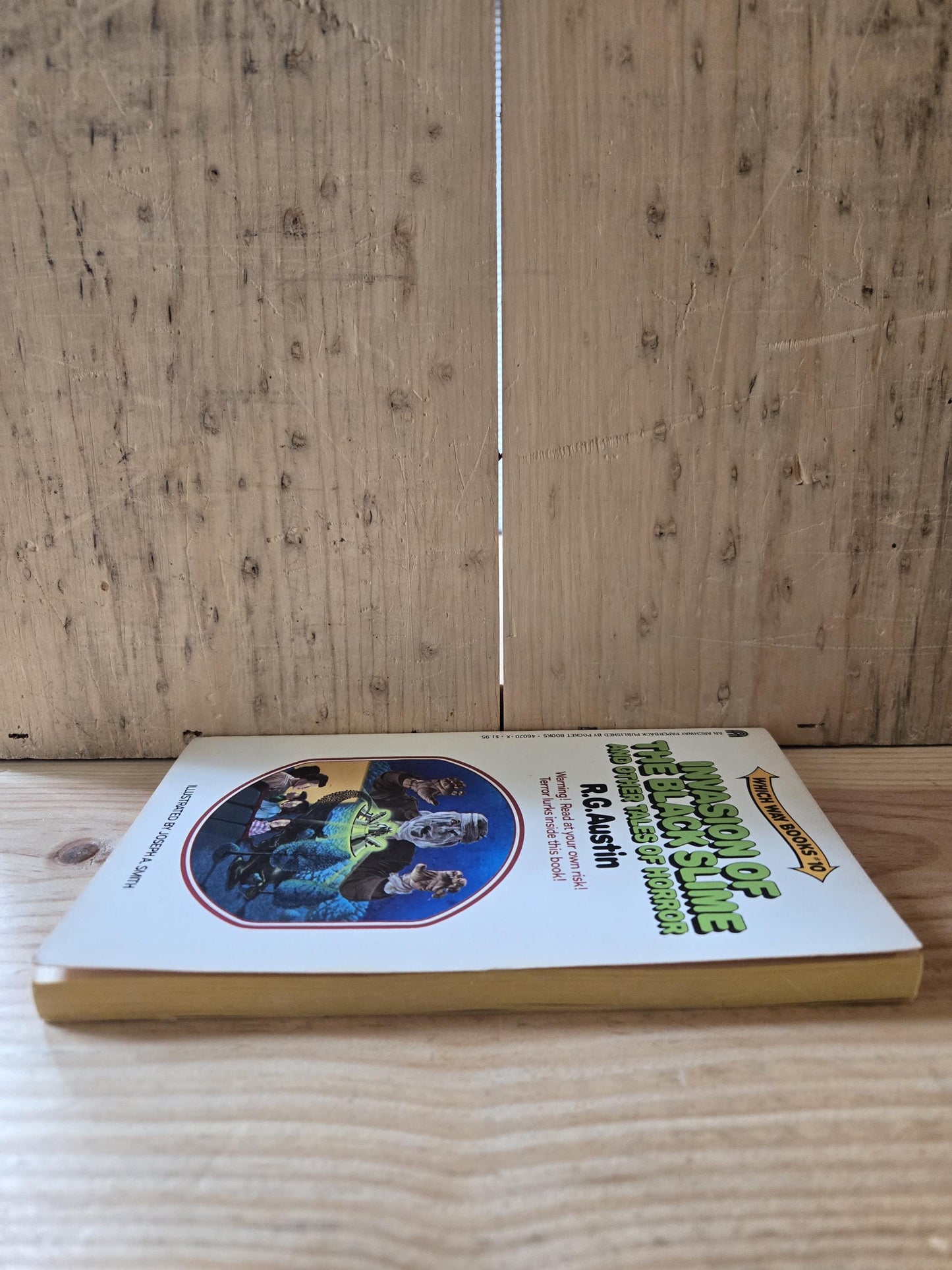 Which Way Books #10: Invasion of The Black Slime and Other Tales of Horror // R.G. Austin // 1983 // Vintage Paperback