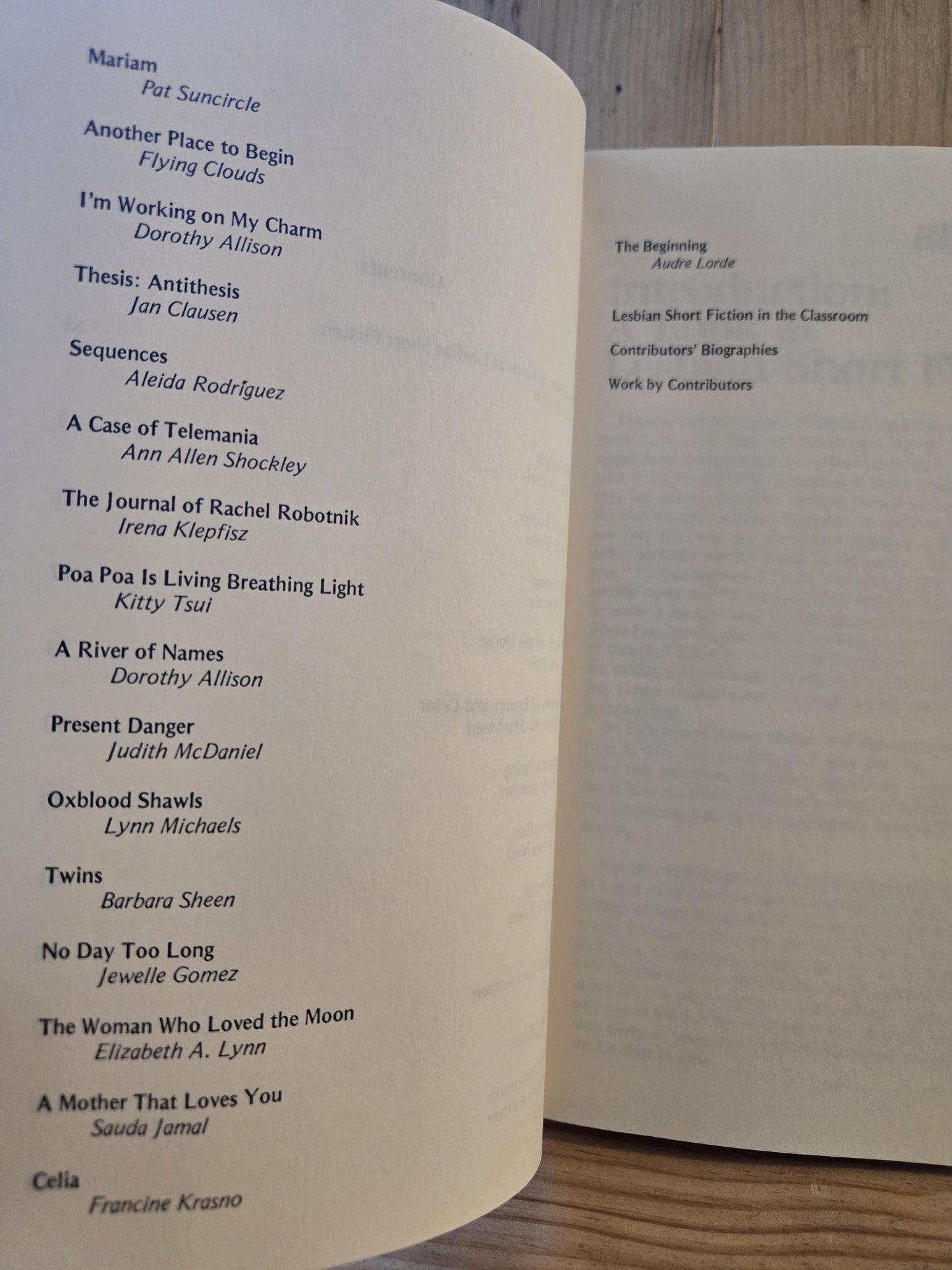 Lesbian Fiction: An Anthology // Edited by Elly Bulkin // 1st Edition 1st Printing Paperback 1981 // Vintage Paperback