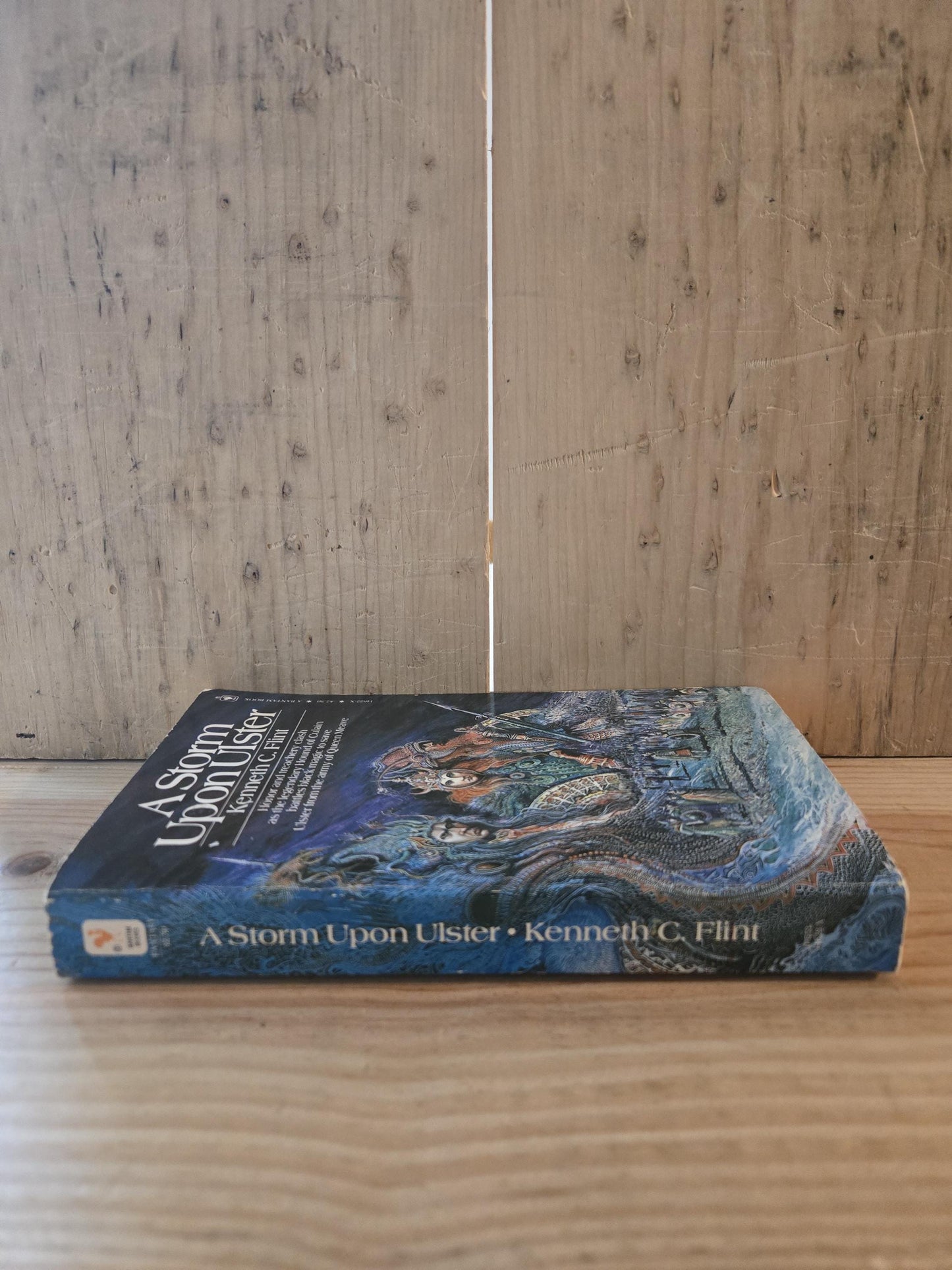 A Storm Upon Ulster // Kenneth C. Flint // 1981 // Vintage Paperback Fantasy