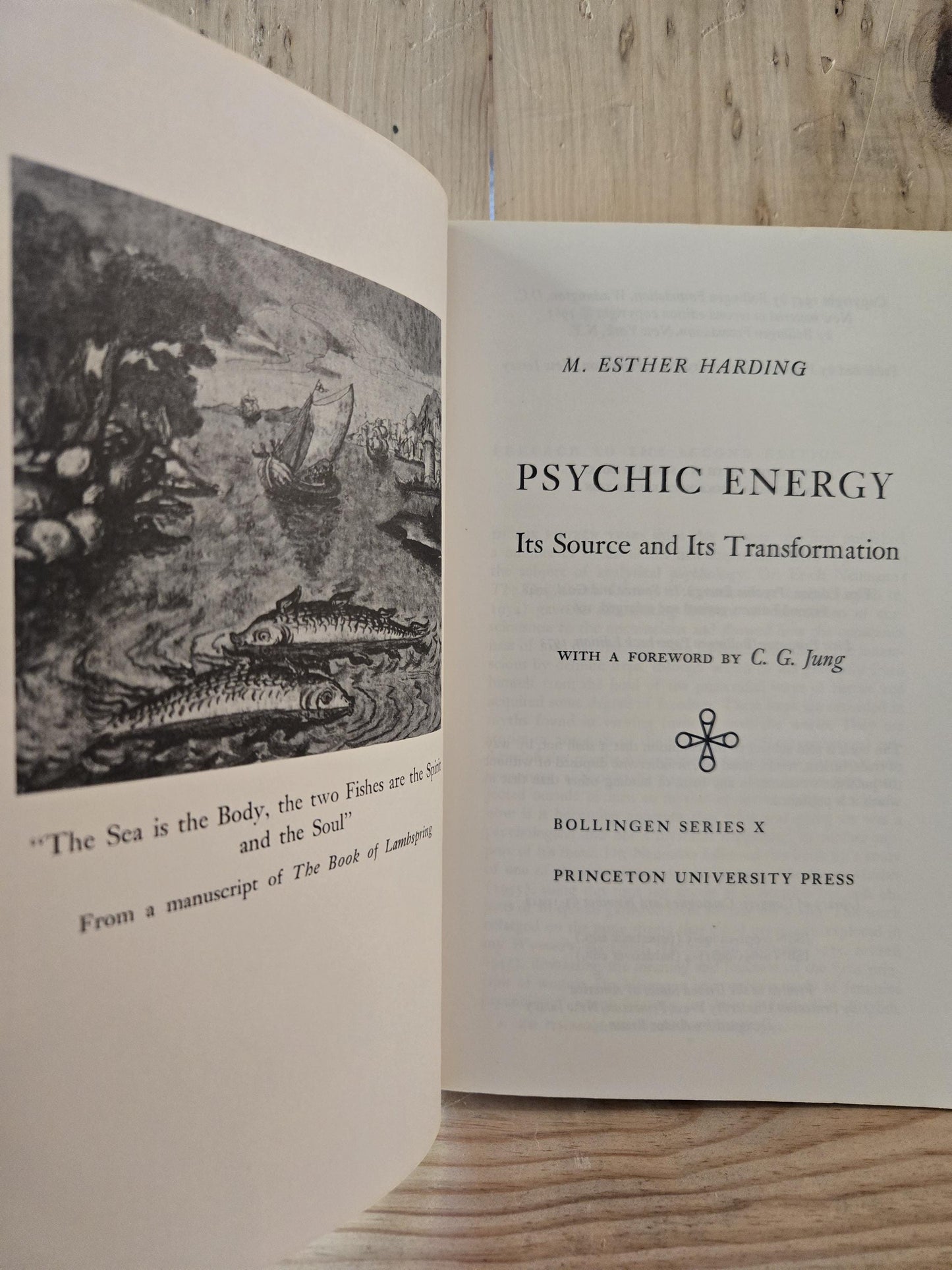 Psychic Energy: Its Source and Its Transformation // M. Esther Harding // 1973 // Vintage Paperback Psychology