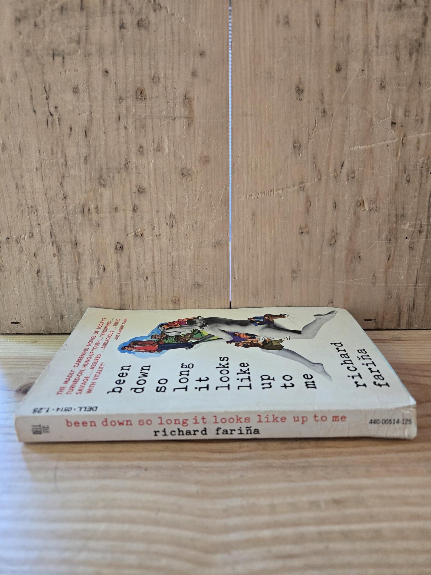 Been Down So Long It Looks Like Up To Me // Richard Fariña 1974 // Vintage Paperback
