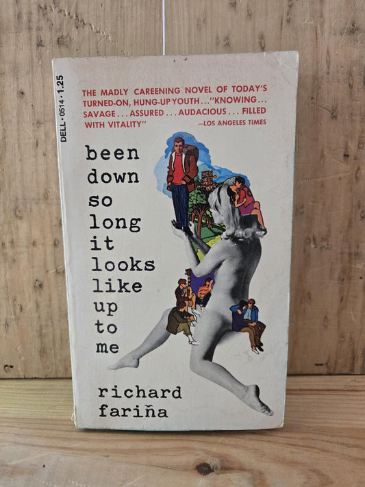 Been Down So Long It Looks Like Up To Me // Richard Fariña 1974 // Vintage Paperback