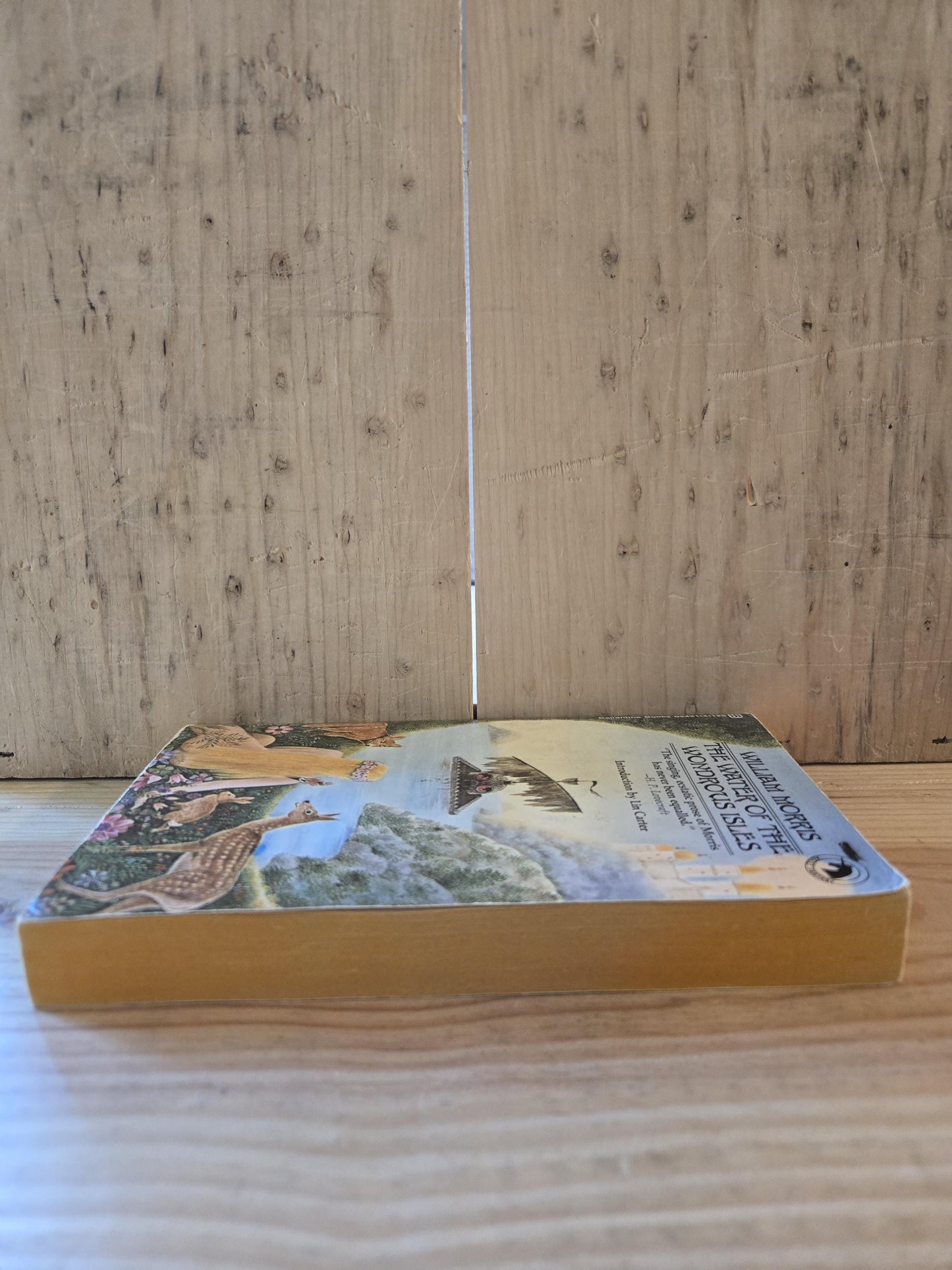 The Water of the Wondrous Isles // William Morris // 1971 // Vintage Paperback Fantasy