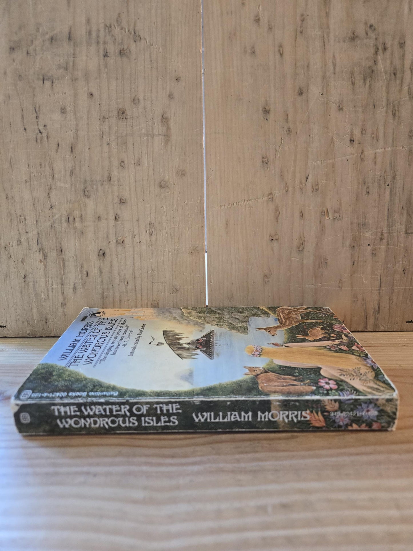 The Water of the Wondrous Isles // William Morris // 1971 // Vintage Paperback Fantasy