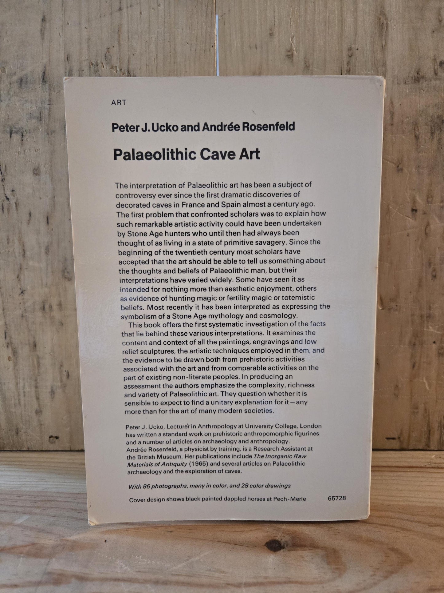 Palaeolithic Cave Art // Peter J. Ucko and Andree Rosenfeld // 1967 // Vintage Paperback Art History