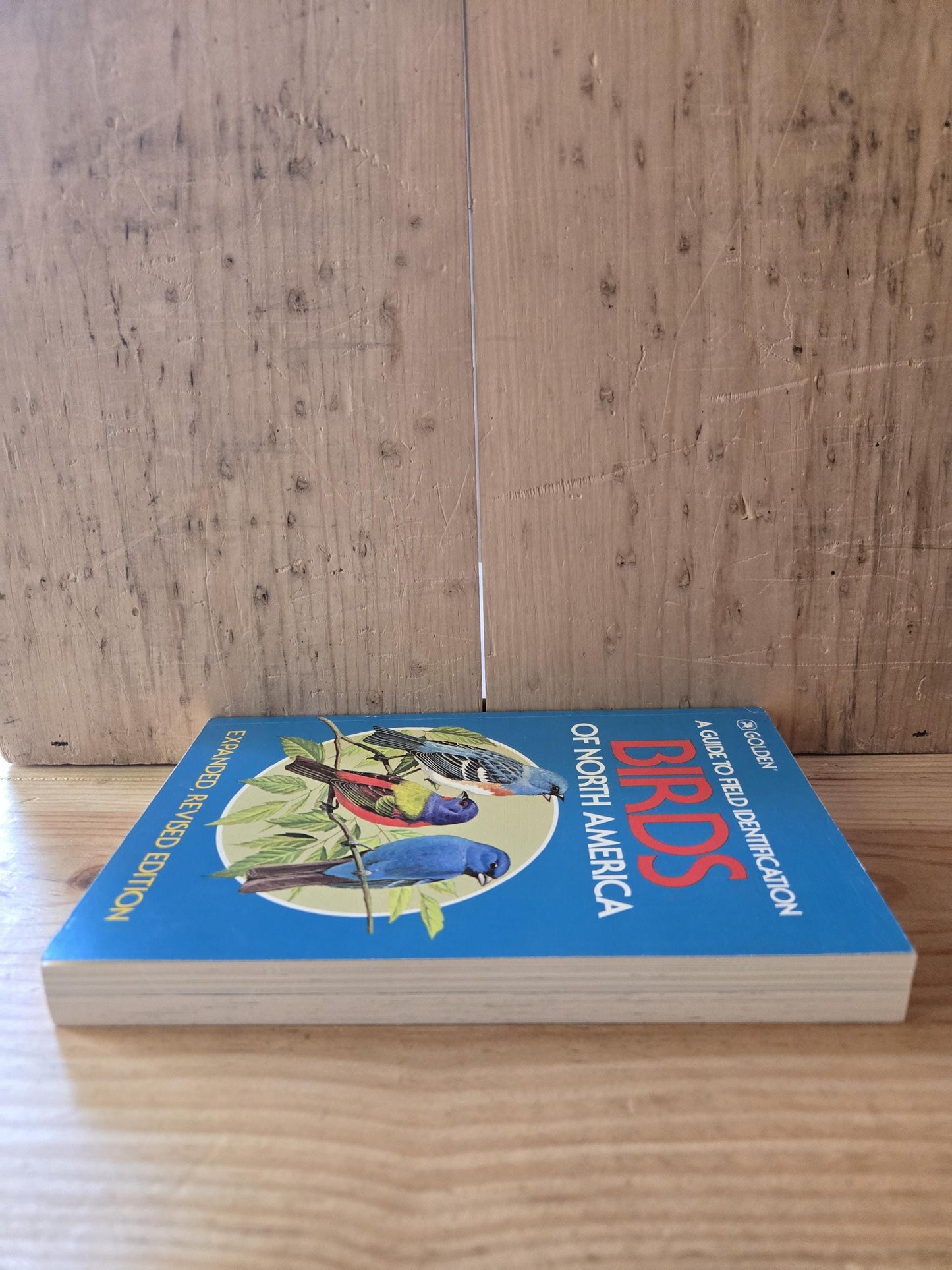 Birds of North America Field Guide // Golden Press // 1983 // Vintage Paperback Nature
