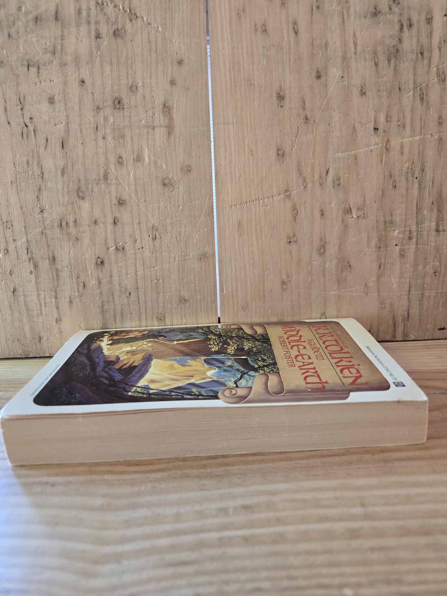 A Guide to Middle-Earth // Robert Foster // 1978 // Vintage Paperback Fantasy