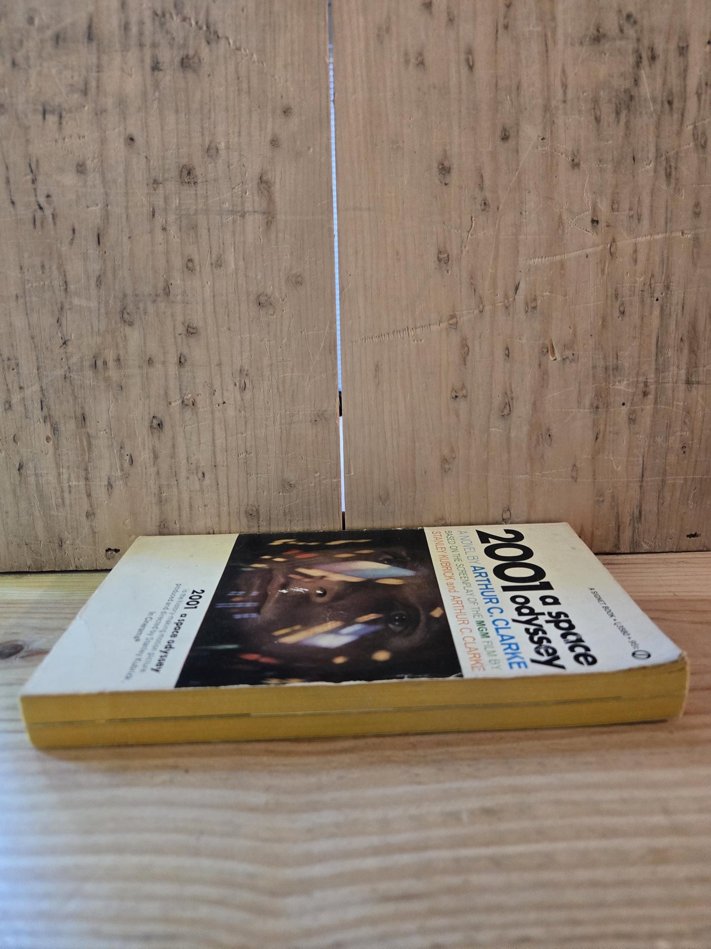 2001 A Space Odyssey // Arthur C. Clarke // 18th Printing 1970s // Vintage Paperback Sci-fi