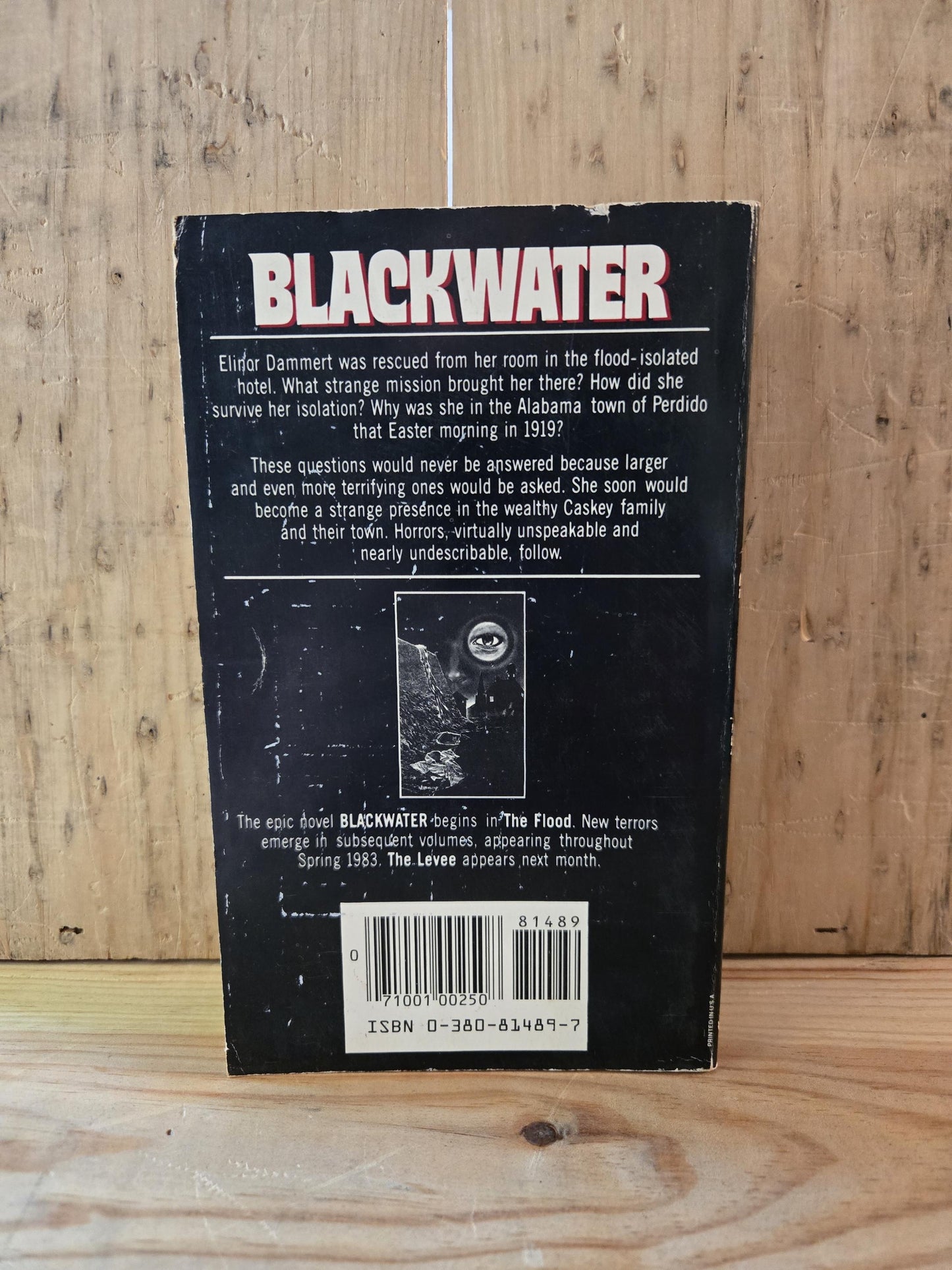 Blackwater: I (The Flood) // Michael McDowell // 1st Printing 1983 // Vintage Paperback Horror