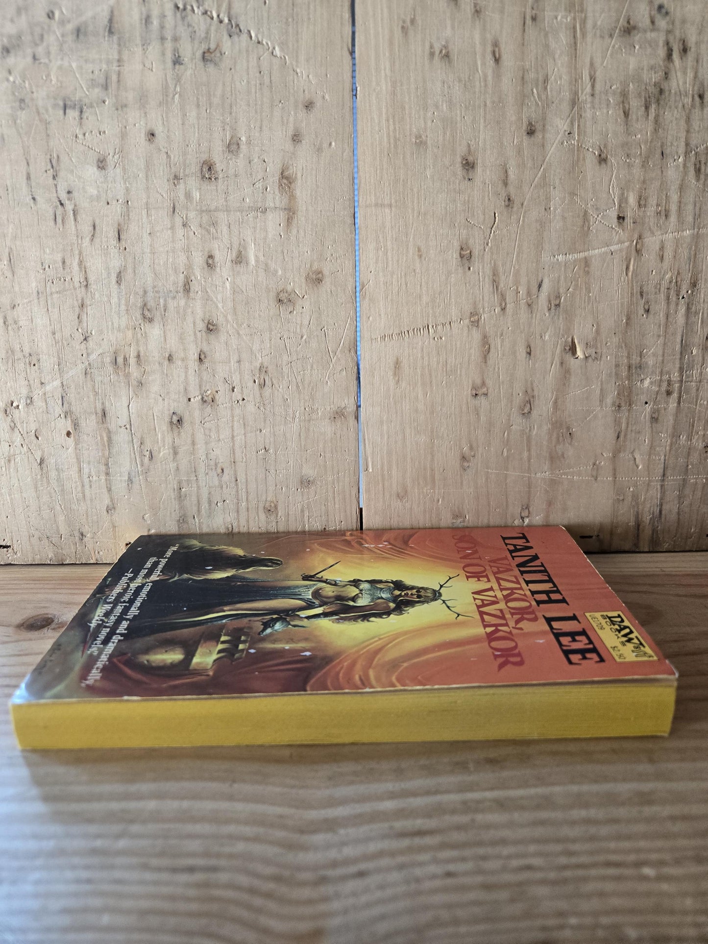 Vazkor, Son of Vazkor // Tanith Lee // DAW 3rd Printing 1978 // Vintage Paperback Fantasy