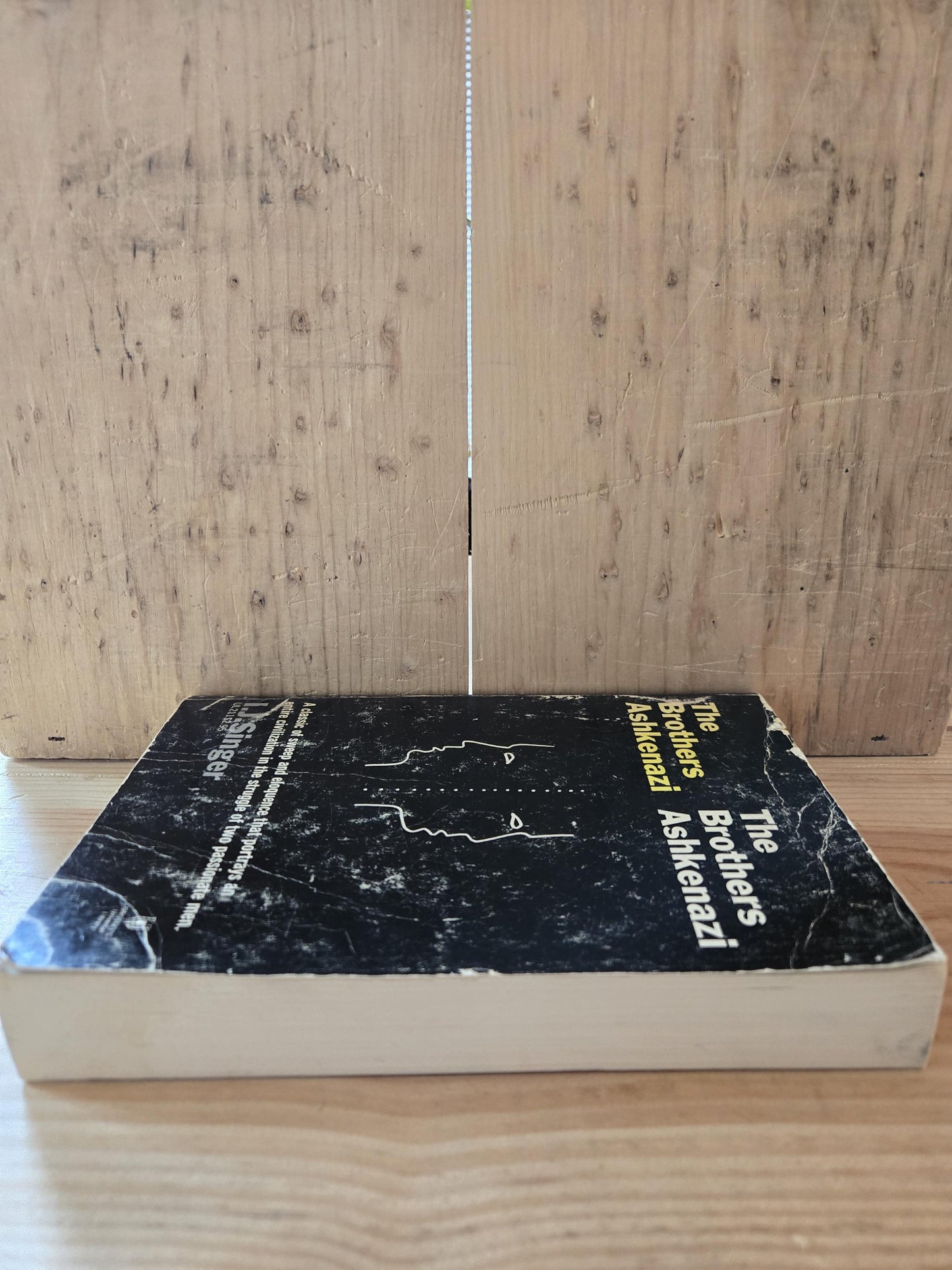 The Brothers Ashkenazi // I.J. Singer // 1967 // Vintage Paperback
