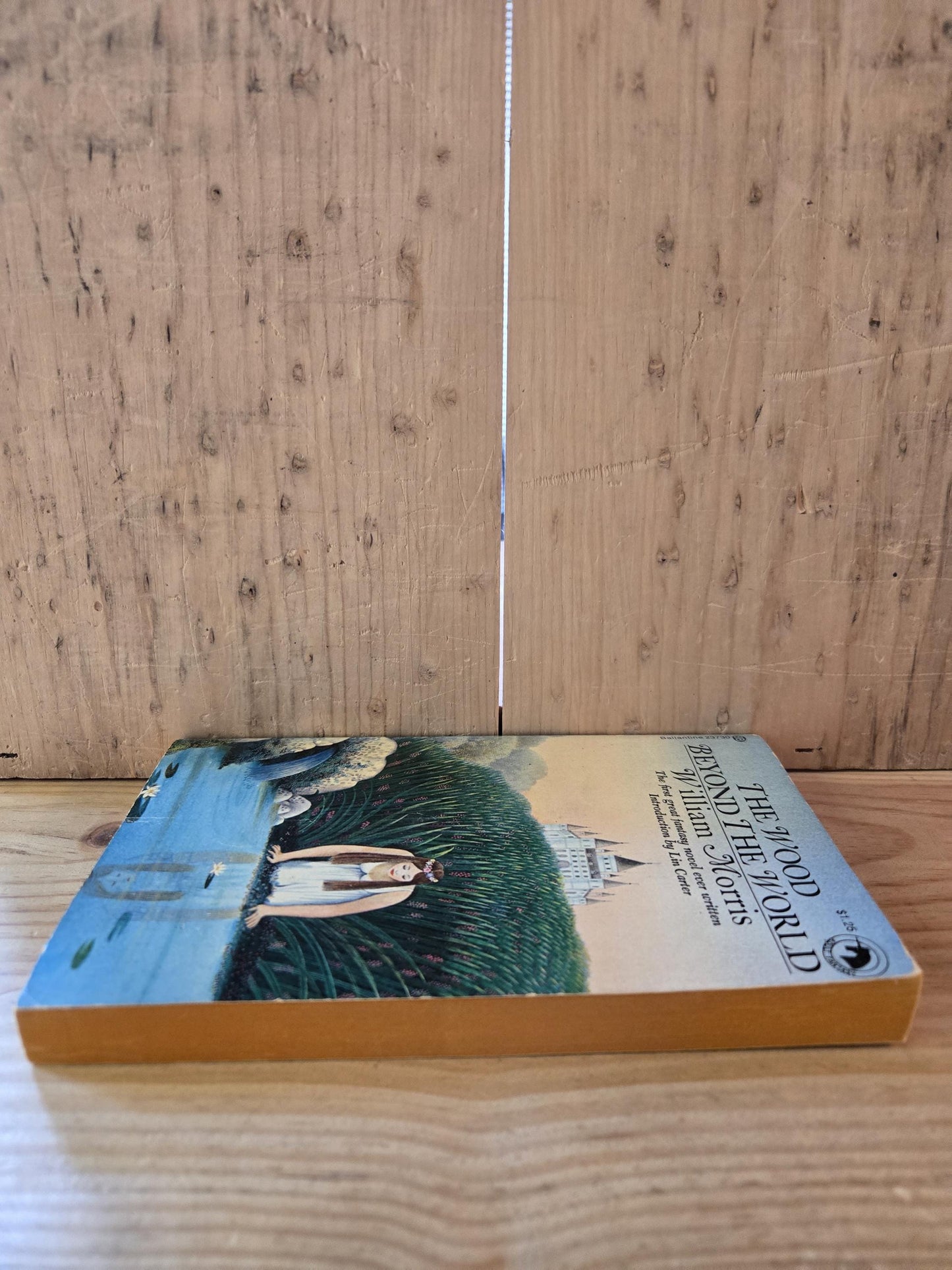 The Wood Beyond The World // William Morris // 1974 // Vintage Paperback Fantasy
